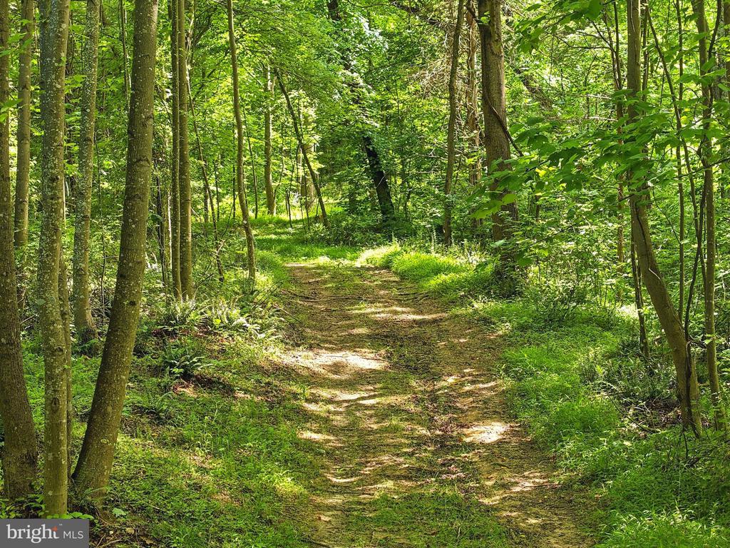 JORDAN HOLLOW RD, STANLEY, Virginia 22851, ,Farm,JORDAN HOLLOW RD,VAPA2006538 MLS # VAPA2006538 JORDAN HOLLOW RD, STANLEY, Virginia 22851, ,Farm,JORDAN HOLLOW RD,VAPA2006538 MLS # VAPA2006538