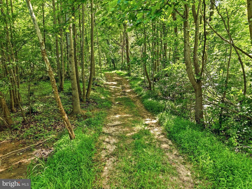 JORDAN HOLLOW RD, STANLEY, Virginia 22851, ,Farm,JORDAN HOLLOW RD,VAPA2006538 MLS # VAPA2006538 JORDAN HOLLOW RD, STANLEY, Virginia 22851, ,Farm,JORDAN HOLLOW RD,VAPA2006538 MLS # VAPA2006538