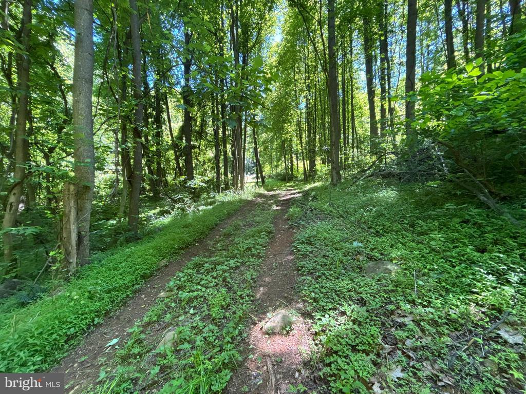 JORDAN HOLLOW RD, STANLEY, Virginia 22851, ,Farm,JORDAN HOLLOW RD,VAPA2006538 MLS # VAPA2006538 JORDAN HOLLOW RD, STANLEY, Virginia 22851, ,Farm,JORDAN HOLLOW RD,VAPA2006538 MLS # VAPA2006538