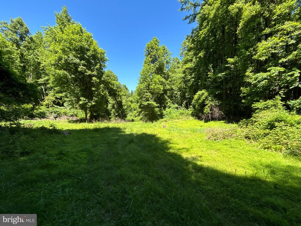 JORDAN HOLLOW RD, STANLEY, Virginia 22851, ,Farm,JORDAN HOLLOW RD,VAPA2006538 MLS # VAPA2006538 JORDAN HOLLOW RD, STANLEY, Virginia 22851, ,Farm,JORDAN HOLLOW RD,VAPA2006538 MLS # VAPA2006538