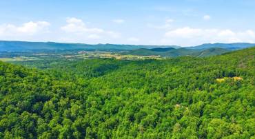 JORDAN HOLLOW RD, STANLEY, Virginia 22851, ,Farm,JORDAN HOLLOW RD,VAPA2006538 MLS # VAPA2006538