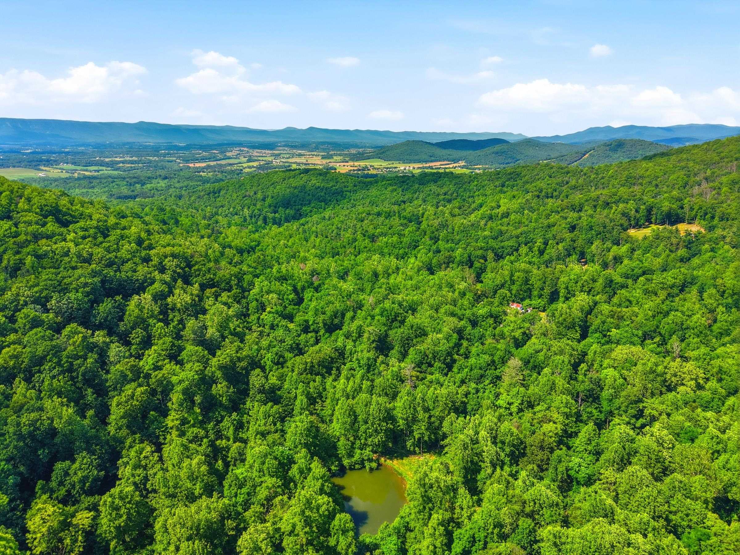 JORDAN HOLLOW RD, STANLEY, Virginia 22851, ,Farm,JORDAN HOLLOW RD,678257 MLS # 678257