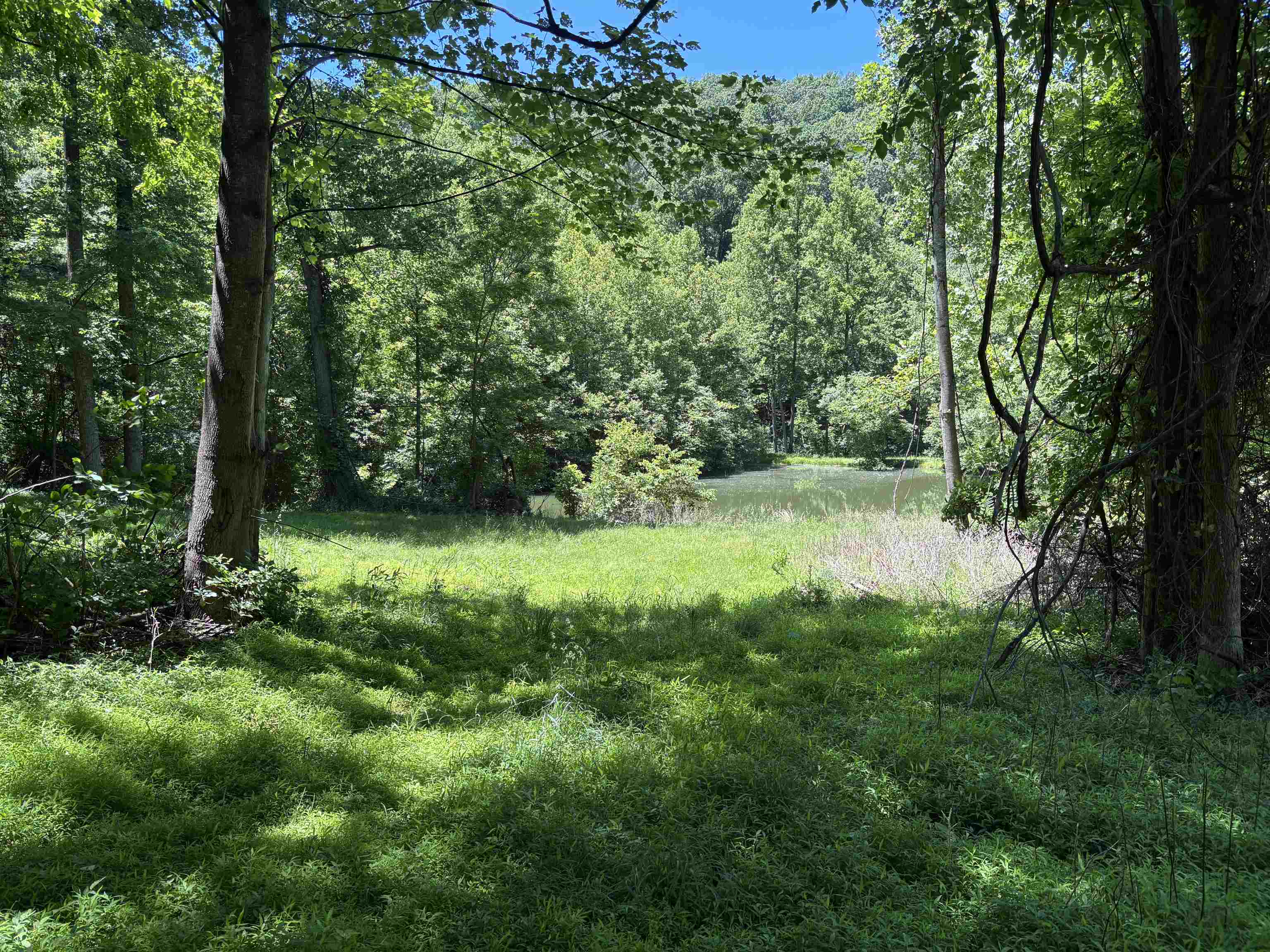 JORDAN HOLLOW RD, STANLEY, Virginia 22851, ,Farm,JORDAN HOLLOW RD,678257 MLS # 678257 JORDAN HOLLOW RD, STANLEY, Virginia 22851, ,Farm,JORDAN HOLLOW RD,678257 MLS # 678257