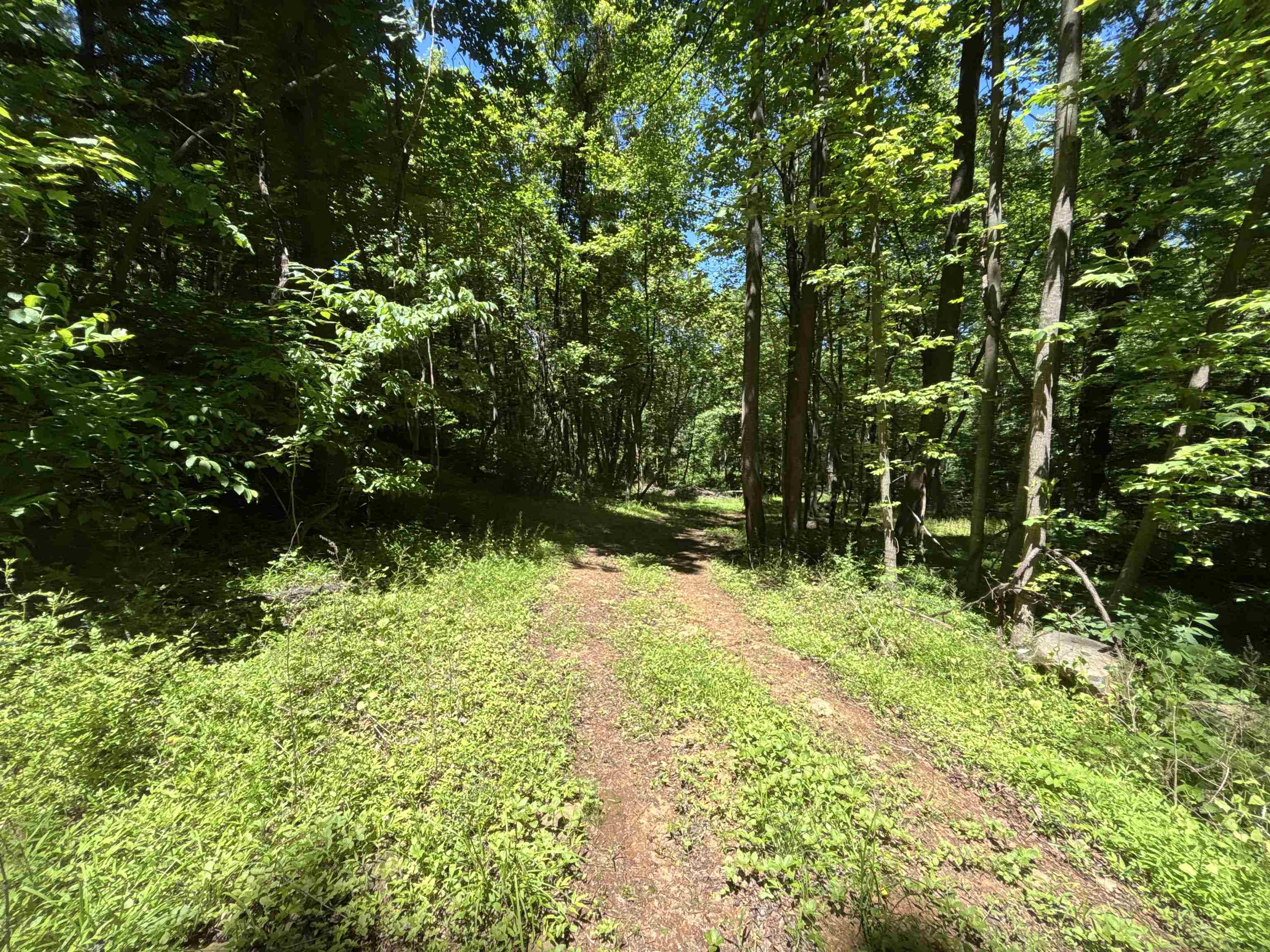 Trail around/across property Trail around/across property
