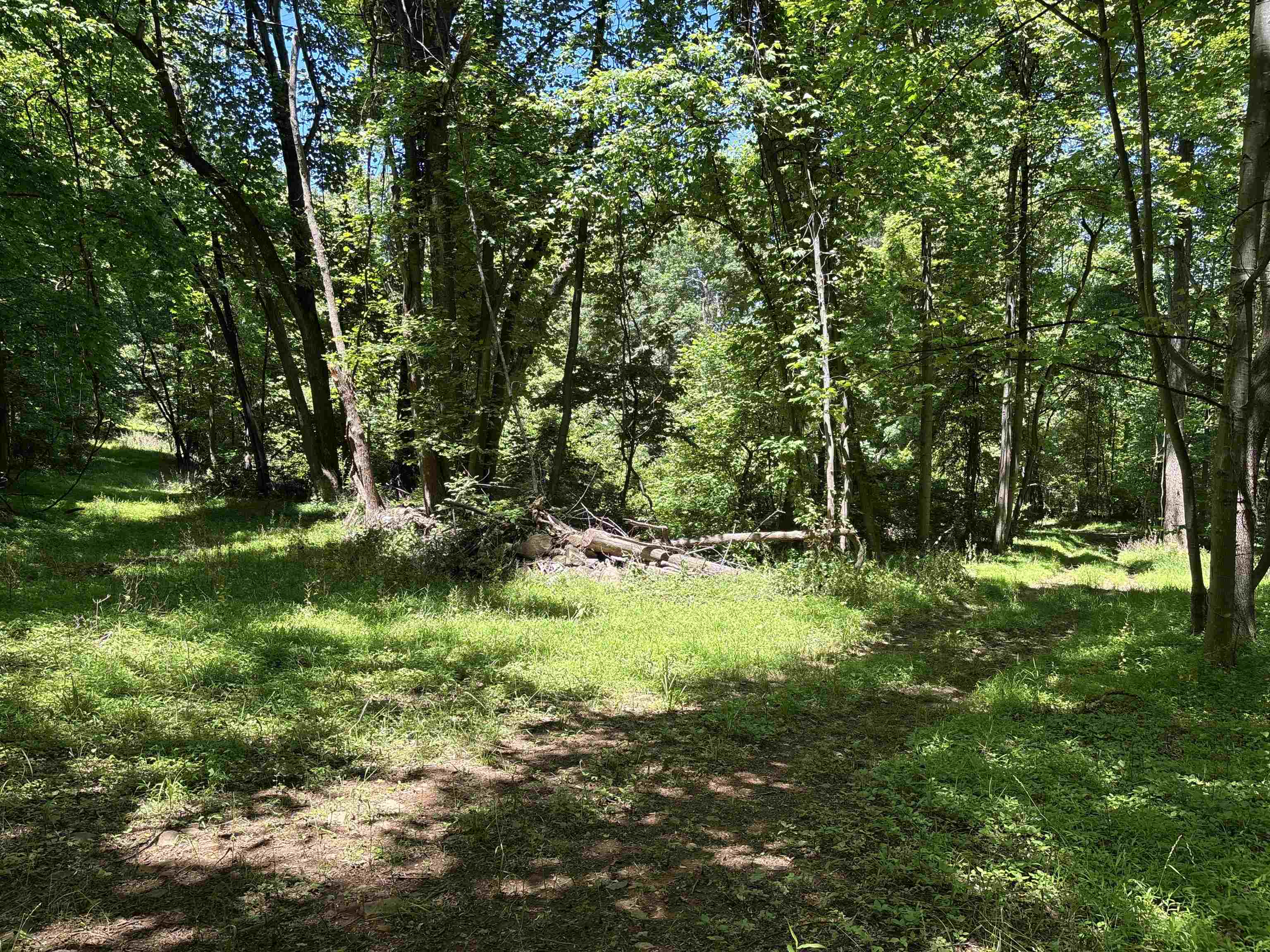 JORDAN HOLLOW RD, STANLEY, Virginia 22851, ,Farm,JORDAN HOLLOW RD,678257 MLS # 678257 JORDAN HOLLOW RD, STANLEY, Virginia 22851, ,Farm,JORDAN HOLLOW RD,678257 MLS # 678257