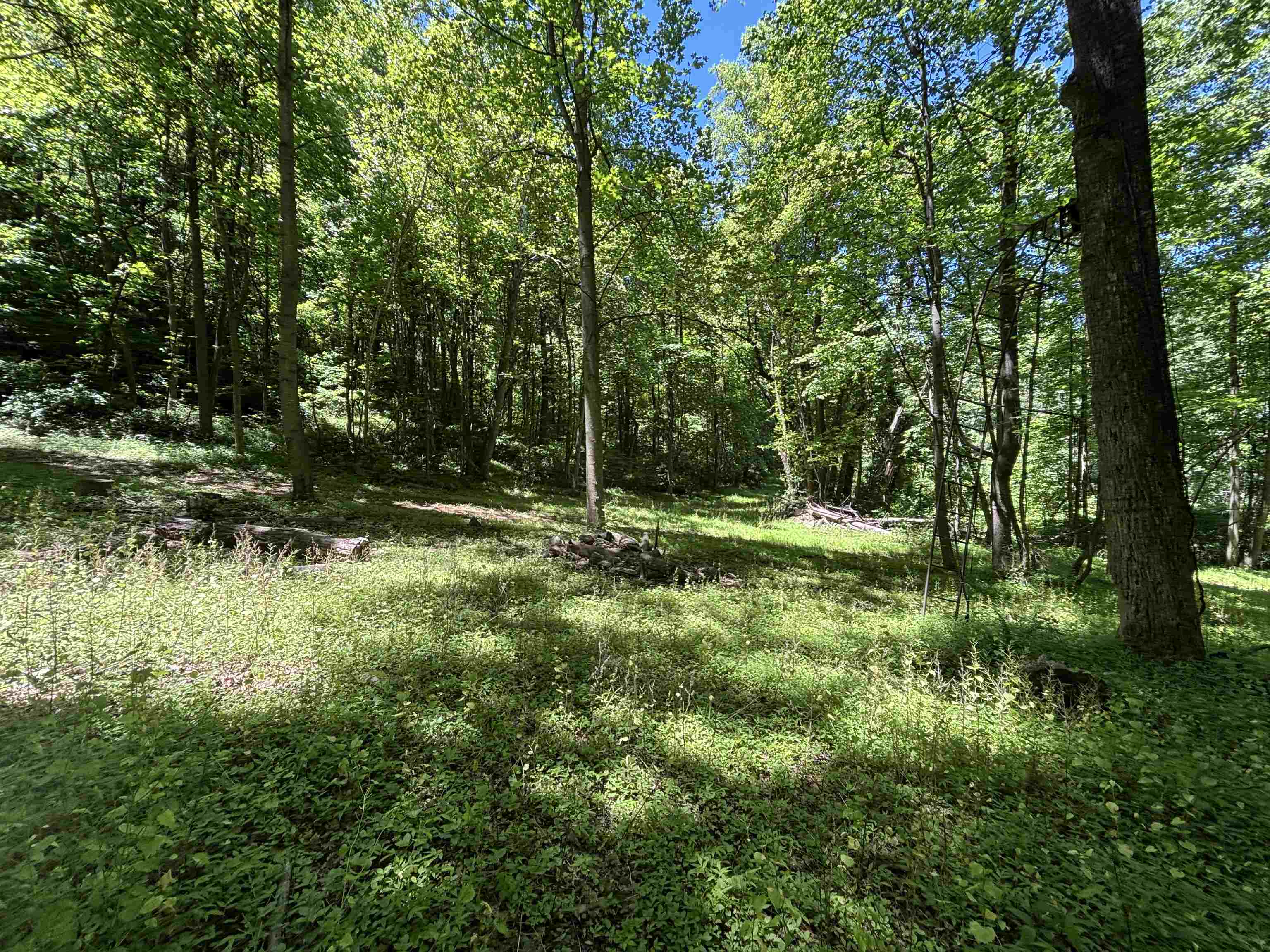 JORDAN HOLLOW RD, STANLEY, Virginia 22851, ,Farm,JORDAN HOLLOW RD,678257 MLS # 678257 JORDAN HOLLOW RD, STANLEY, Virginia 22851, ,Farm,JORDAN HOLLOW RD,678257 MLS # 678257