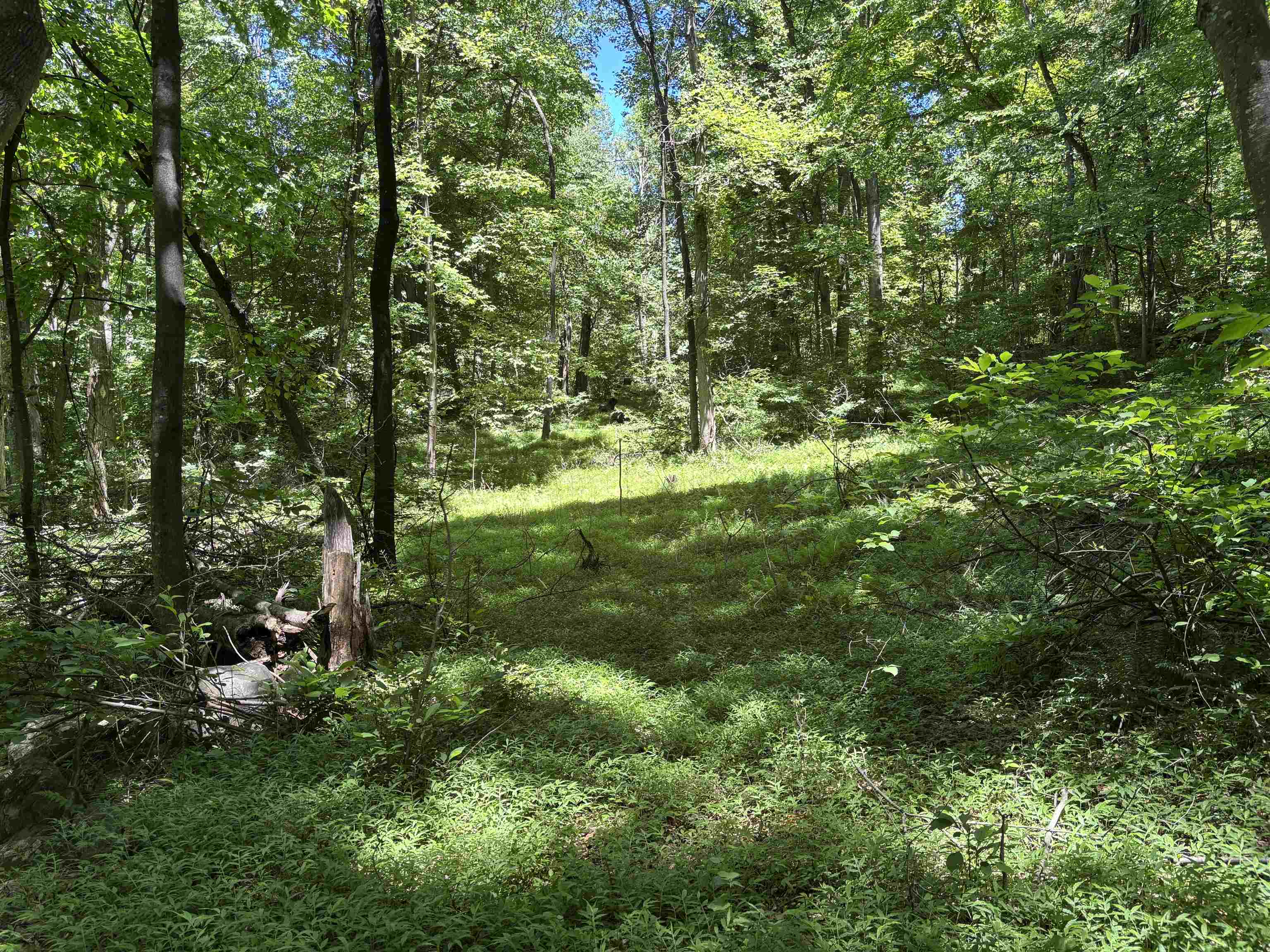 JORDAN HOLLOW RD, STANLEY, Virginia 22851, ,Farm,JORDAN HOLLOW RD,678257 MLS # 678257 JORDAN HOLLOW RD, STANLEY, Virginia 22851, ,Farm,JORDAN HOLLOW RD,678257 MLS # 678257