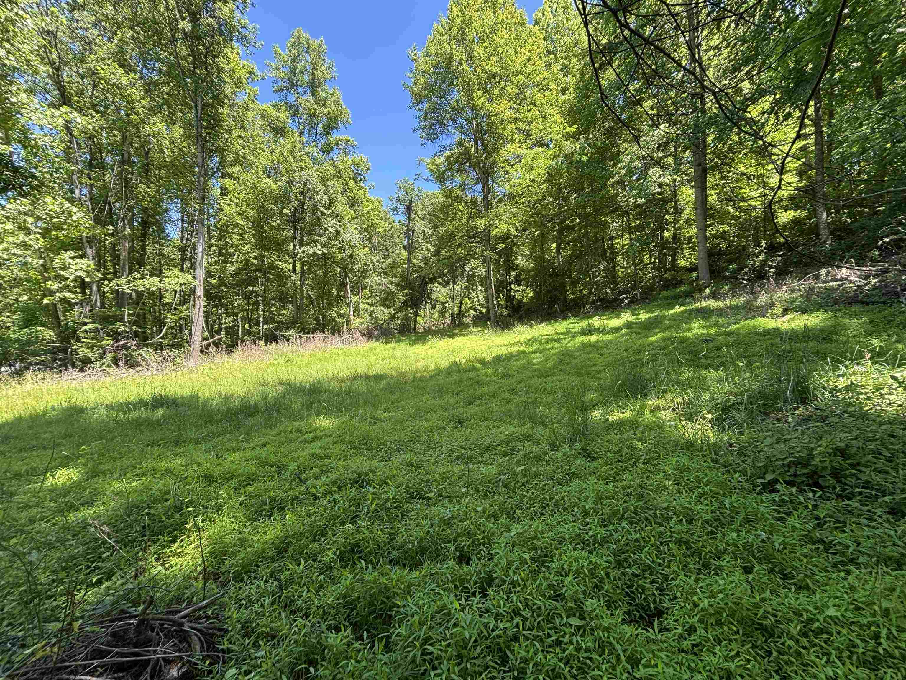 JORDAN HOLLOW RD, STANLEY, Virginia 22851, ,Farm,JORDAN HOLLOW RD,678257 MLS # 678257 JORDAN HOLLOW RD, STANLEY, Virginia 22851, ,Farm,JORDAN HOLLOW RD,678257 MLS # 678257