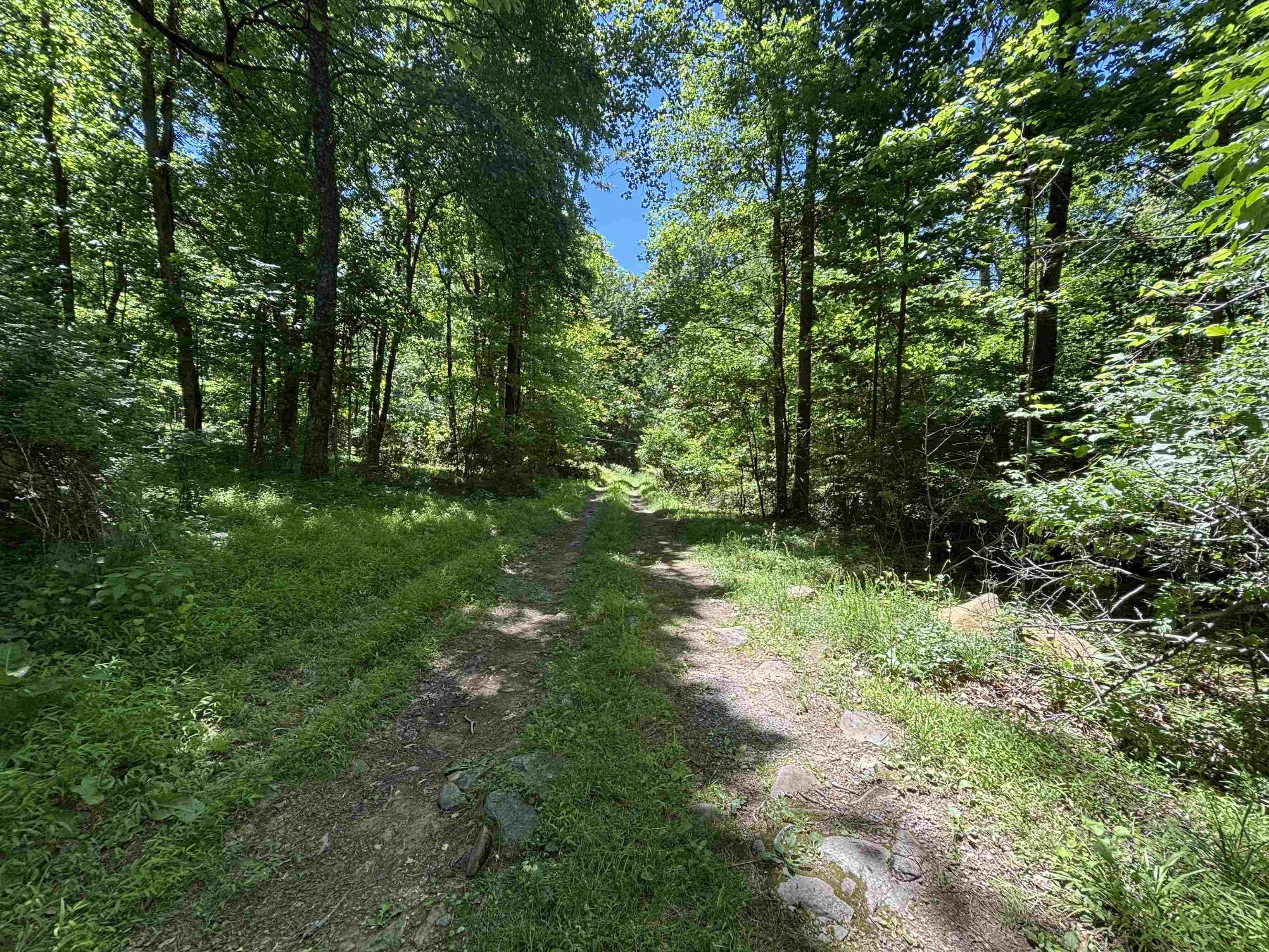 Path from road leading into property Path from road leading into property