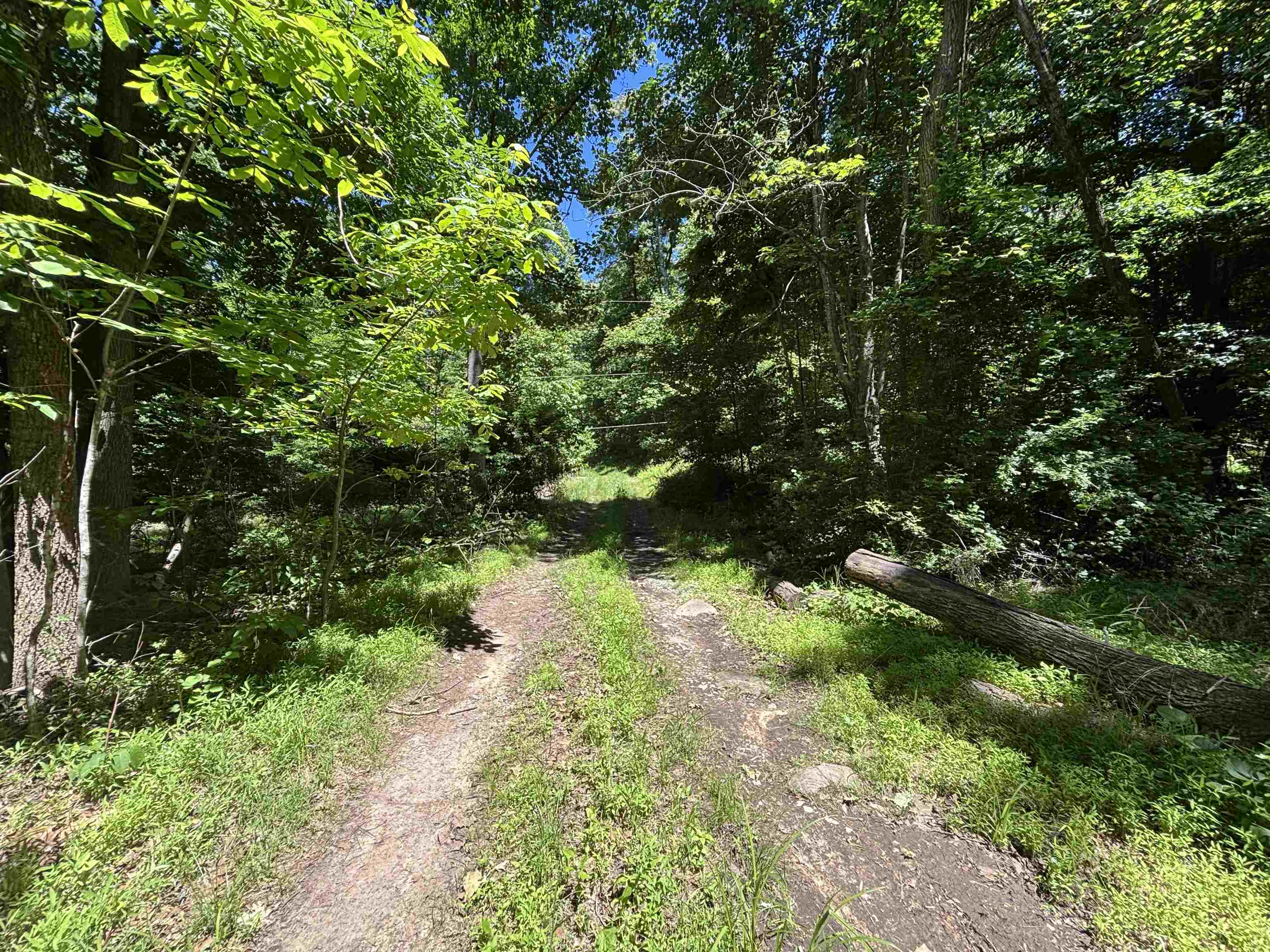 Trail around/across property Trail around/across property