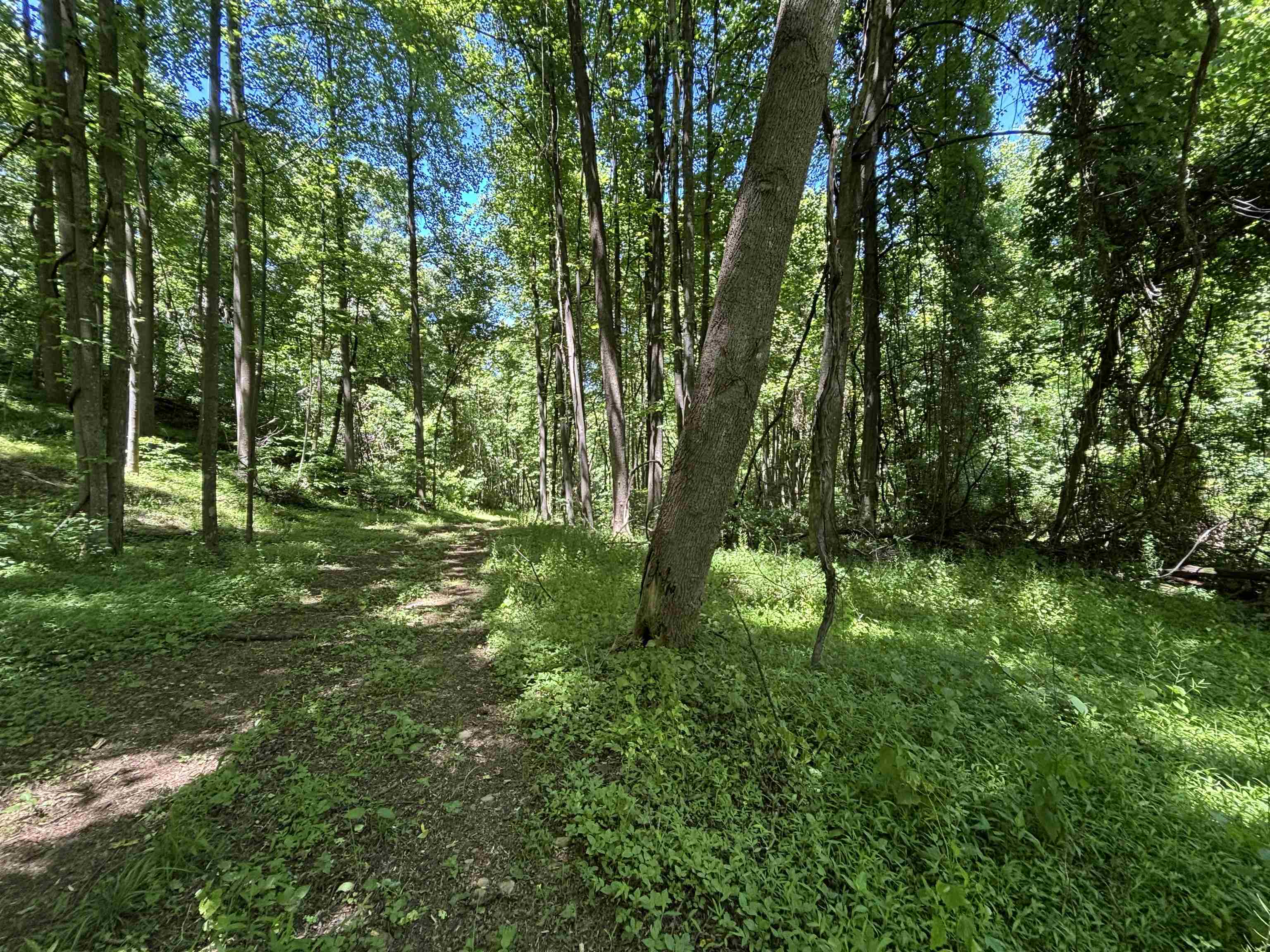 Trail around/across property Trail around/across property