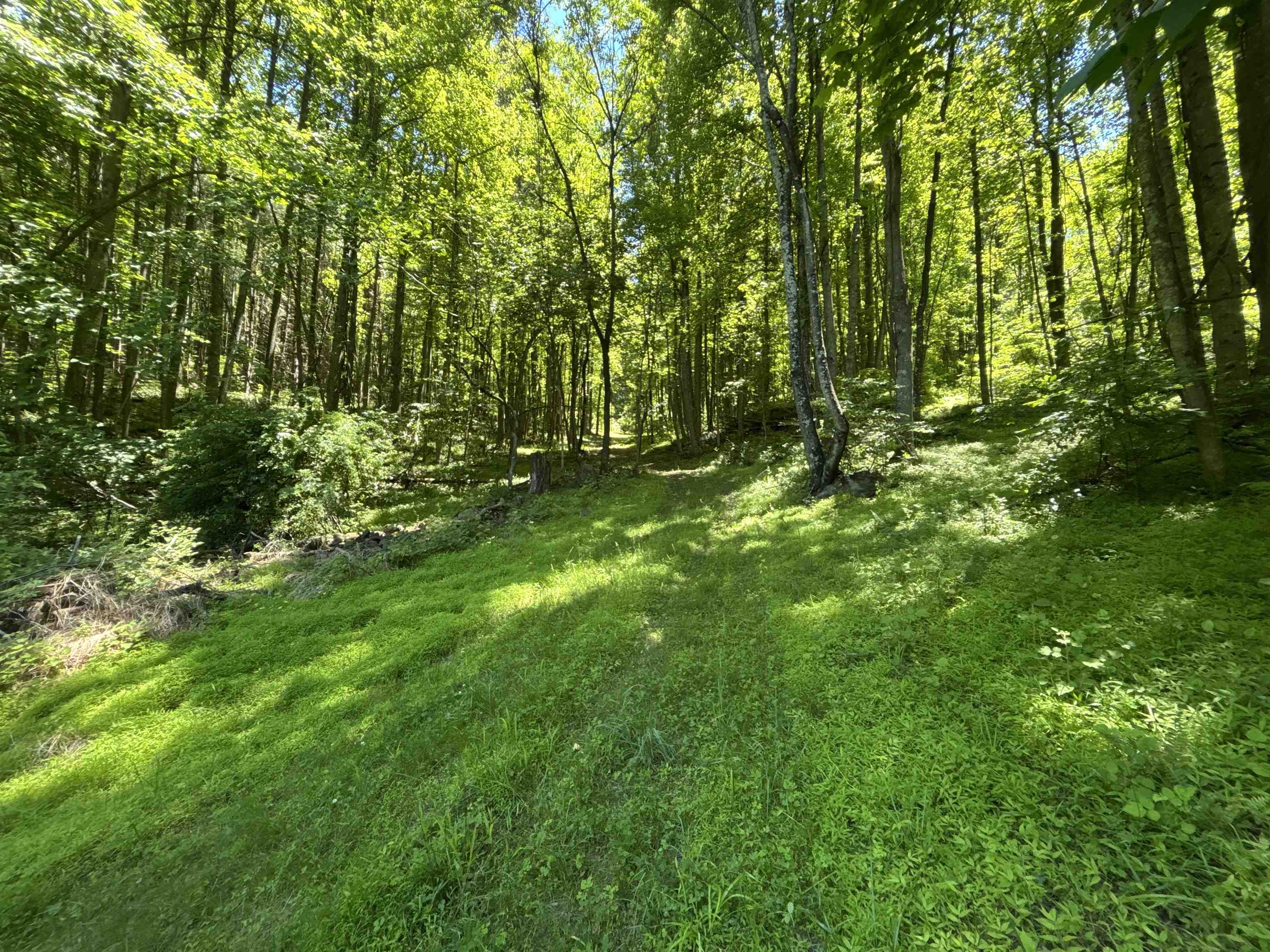 JORDAN HOLLOW RD, STANLEY, Virginia 22851, ,Farm,JORDAN HOLLOW RD,678257 MLS # 678257 JORDAN HOLLOW RD, STANLEY, Virginia 22851, ,Farm,JORDAN HOLLOW RD,678257 MLS # 678257