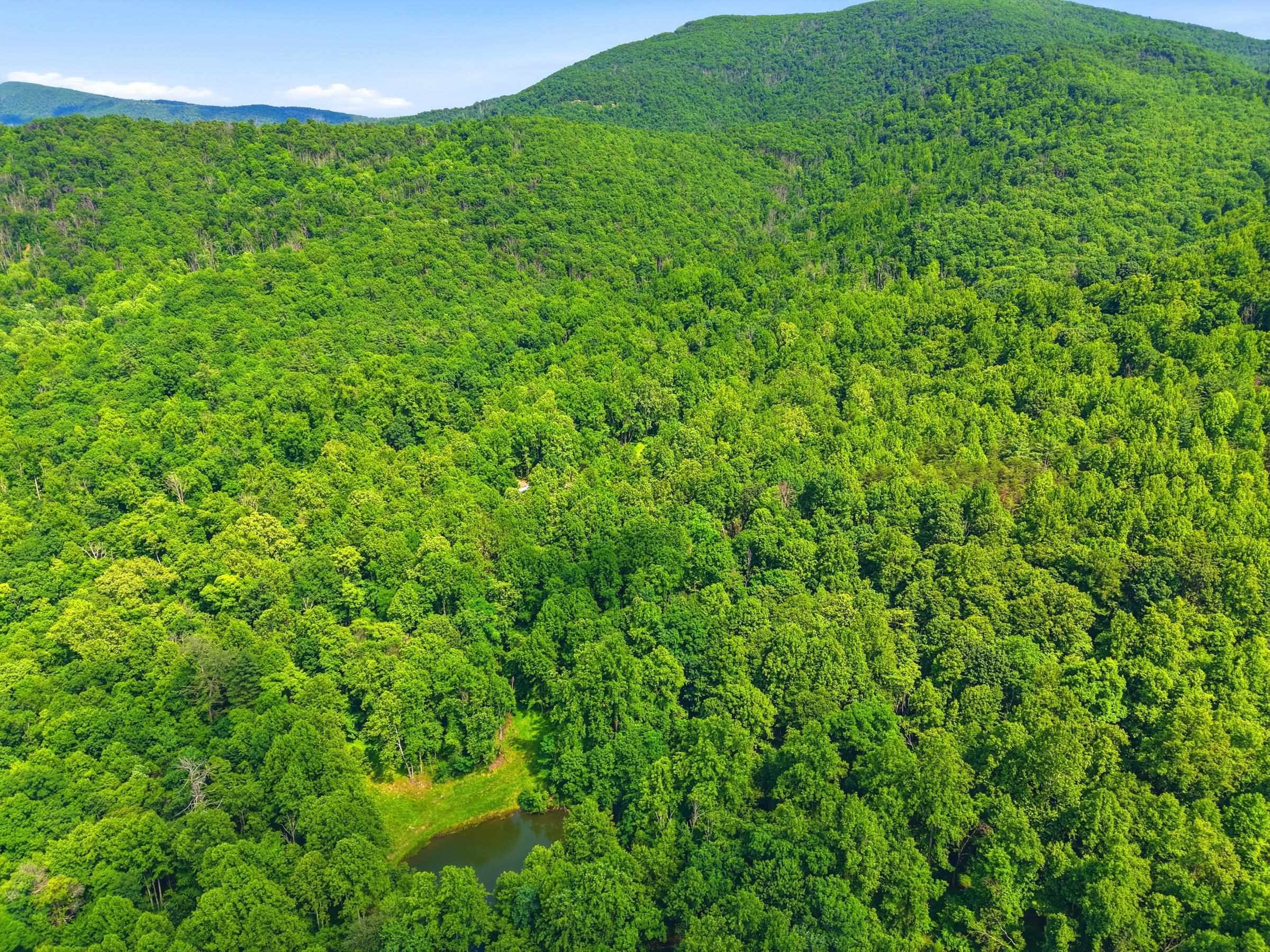 JORDAN HOLLOW RD, STANLEY, Virginia 22851, ,Farm,JORDAN HOLLOW RD,678257 MLS # 678257 JORDAN HOLLOW RD, STANLEY, Virginia 22851, ,Farm,JORDAN HOLLOW RD,678257 MLS # 678257