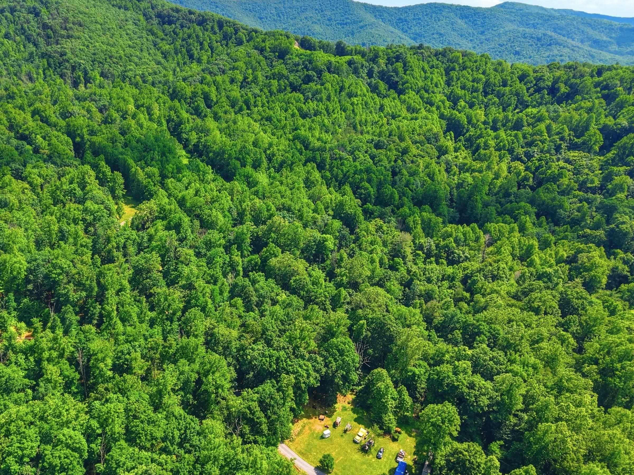 JORDAN HOLLOW RD, STANLEY, Virginia 22851, ,Farm,JORDAN HOLLOW RD,678257 MLS # 678257 JORDAN HOLLOW RD, STANLEY, Virginia 22851, ,Farm,JORDAN HOLLOW RD,678257 MLS # 678257