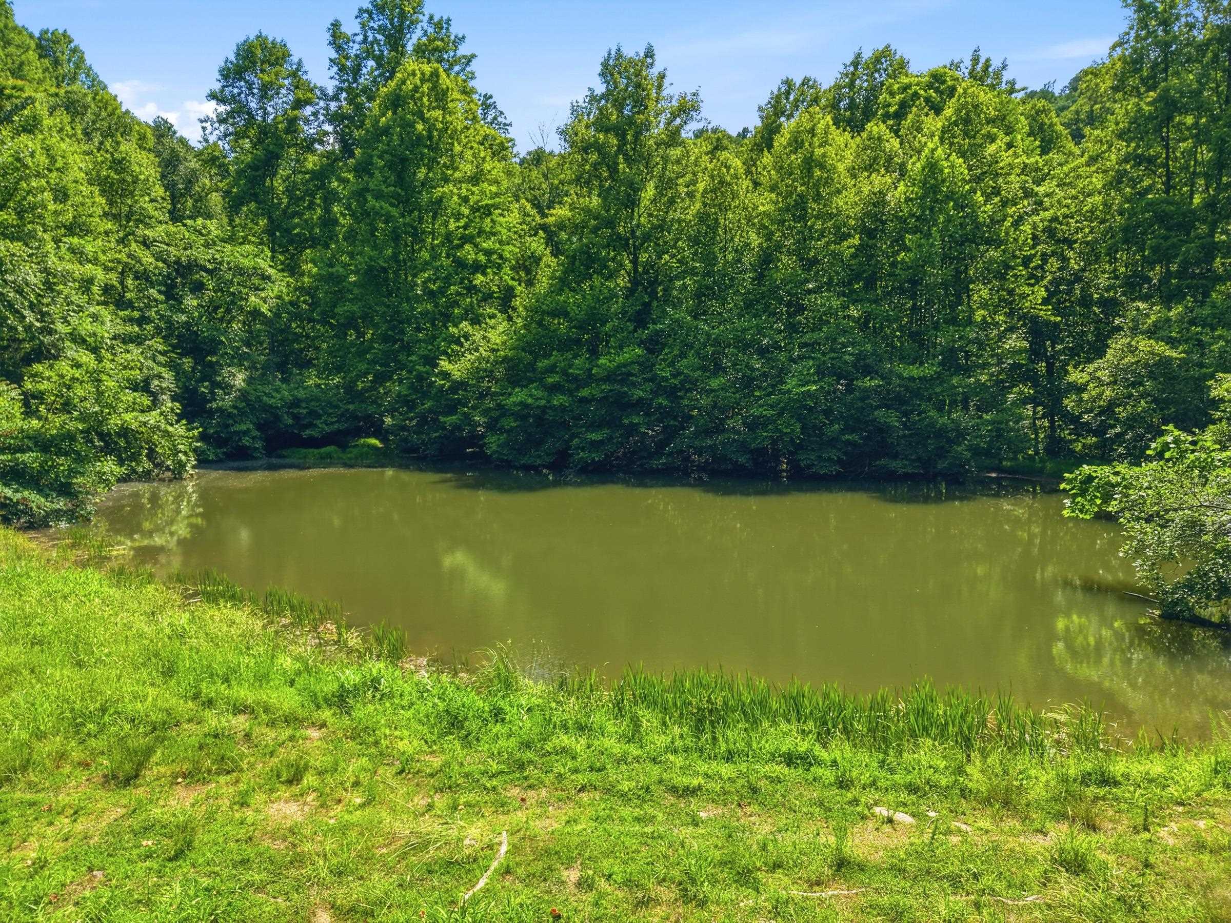 JORDAN HOLLOW RD, STANLEY, Virginia 22851, ,Farm,JORDAN HOLLOW RD,678257 MLS # 678257 JORDAN HOLLOW RD, STANLEY, Virginia 22851, ,Farm,JORDAN HOLLOW RD,678257 MLS # 678257