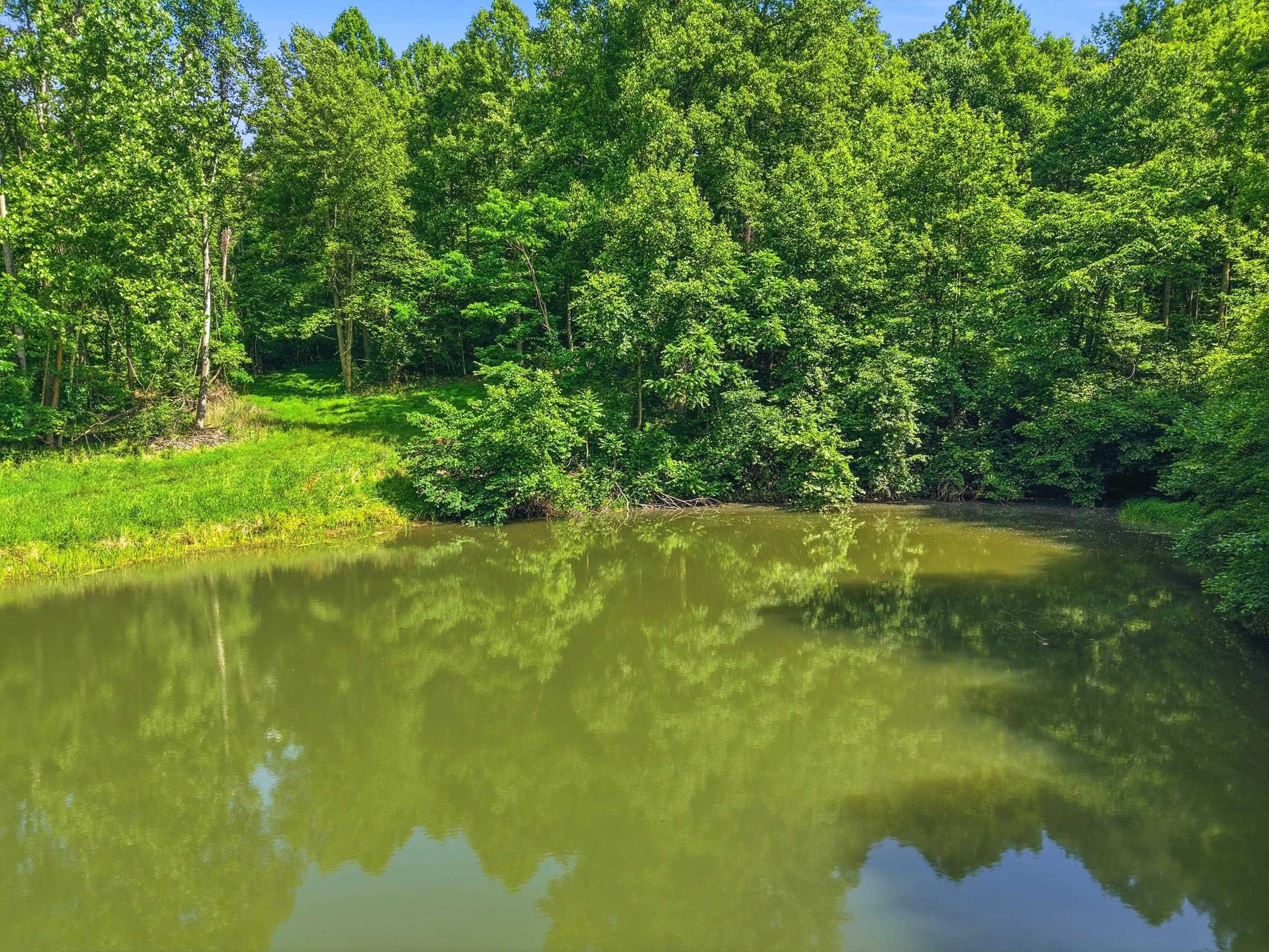 JORDAN HOLLOW RD, STANLEY, Virginia 22851, ,Farm,JORDAN HOLLOW RD,678257 MLS # 678257 JORDAN HOLLOW RD, STANLEY, Virginia 22851, ,Farm,JORDAN HOLLOW RD,678257 MLS # 678257