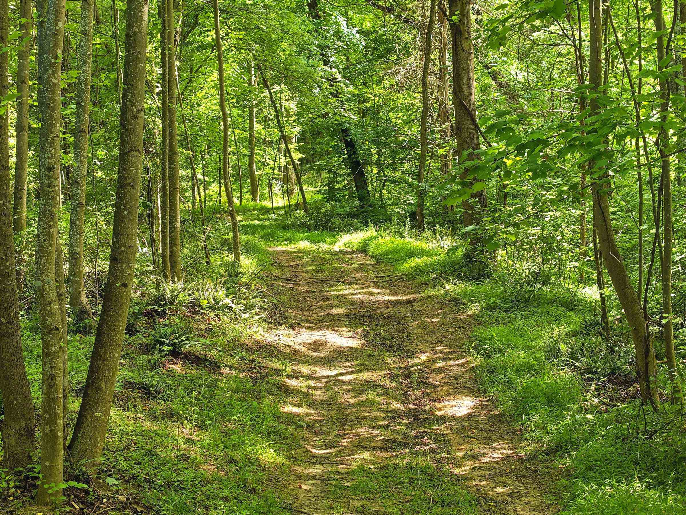 Trail around/across property Trail around/across property