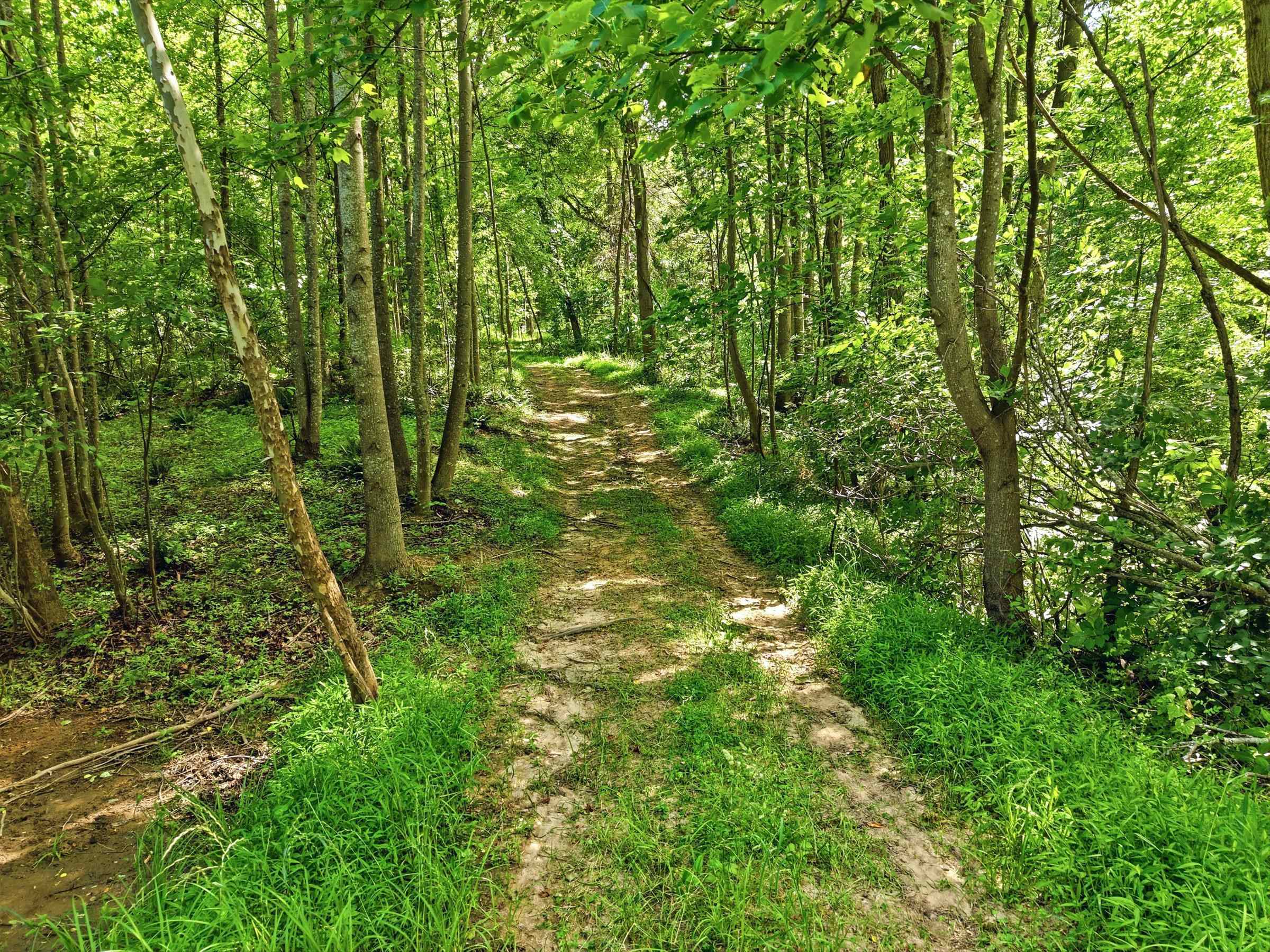 Trail around/across property Trail around/across property