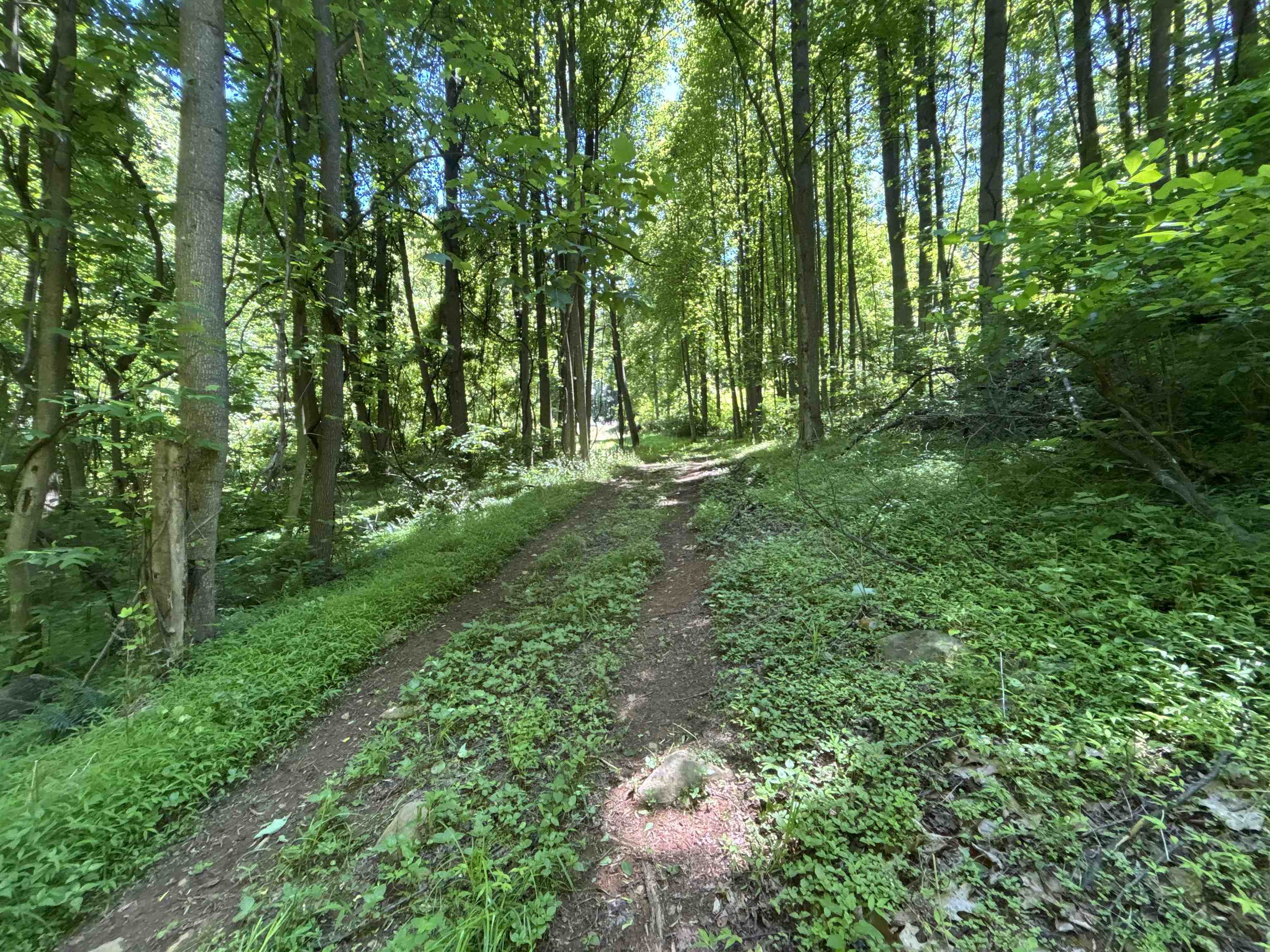 Trail around/across property Trail around/across property