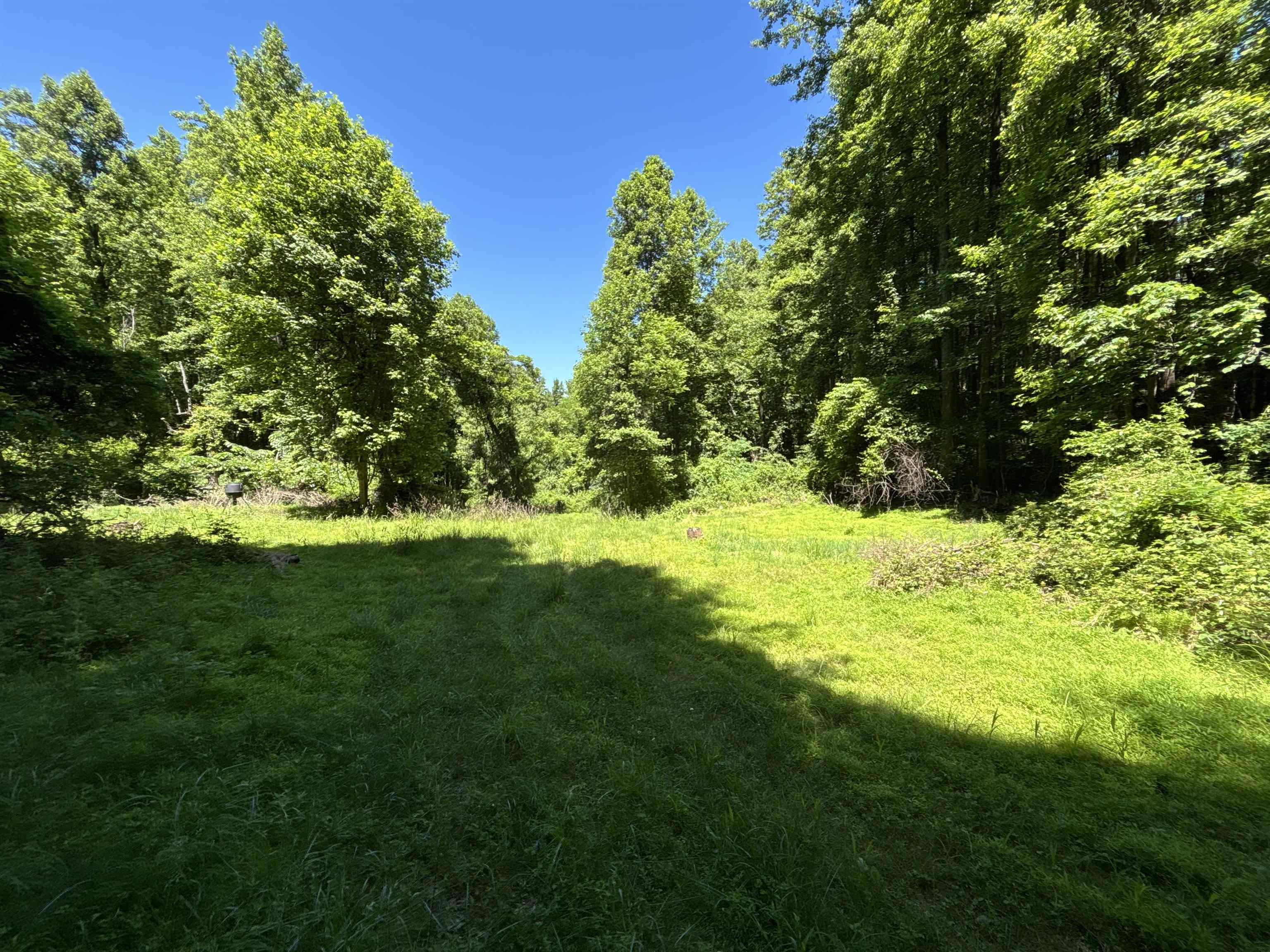 JORDAN HOLLOW RD, STANLEY, Virginia 22851, ,Farm,JORDAN HOLLOW RD,678257 MLS # 678257 JORDAN HOLLOW RD, STANLEY, Virginia 22851, ,Farm,JORDAN HOLLOW RD,678257 MLS # 678257