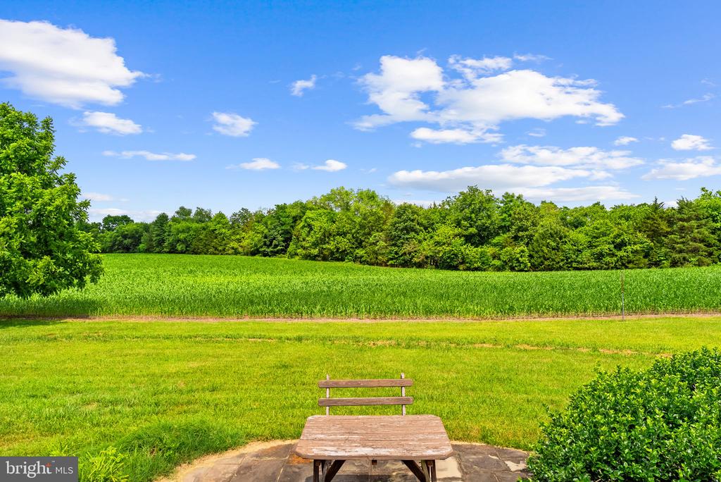 11889 CEMETERY RD, REMINGTON, Virginia 22734, 3 Bedrooms Bedrooms, ,2 BathroomsBathrooms,Residential,11889 CEMETERY RD,VAFQ2022476 MLS # VAFQ2022476