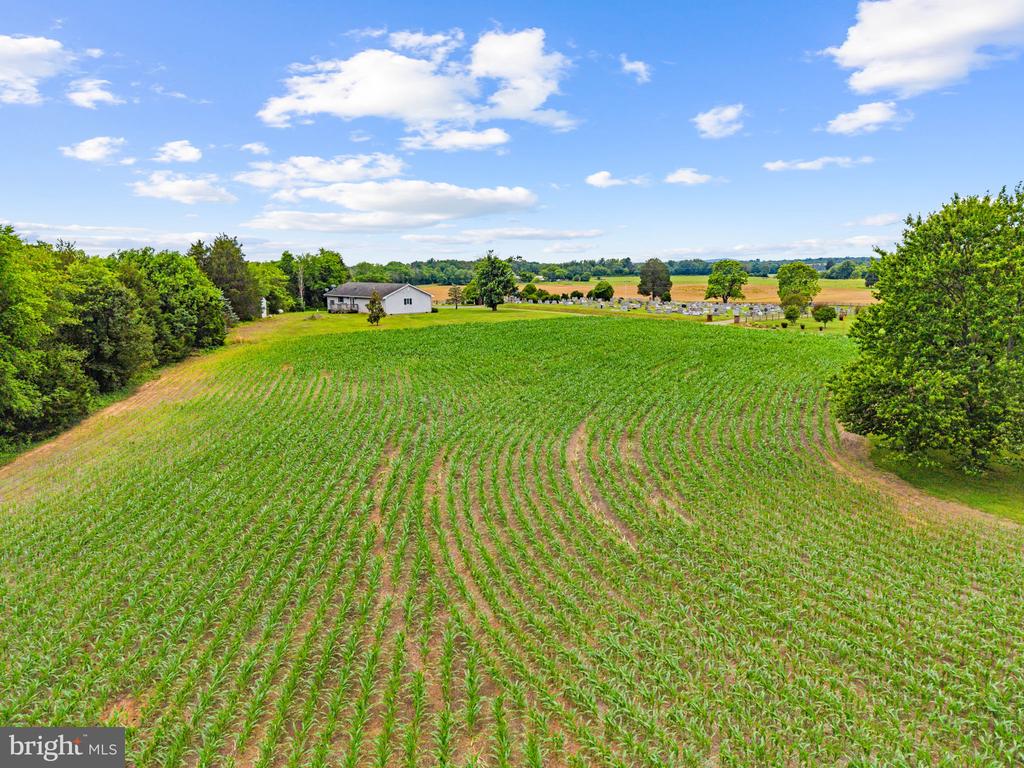 11889 CEMETERY RD, REMINGTON, Virginia 22734, 3 Bedrooms Bedrooms, ,2 BathroomsBathrooms,Residential,11889 CEMETERY RD,VAFQ2022476 MLS # VAFQ2022476