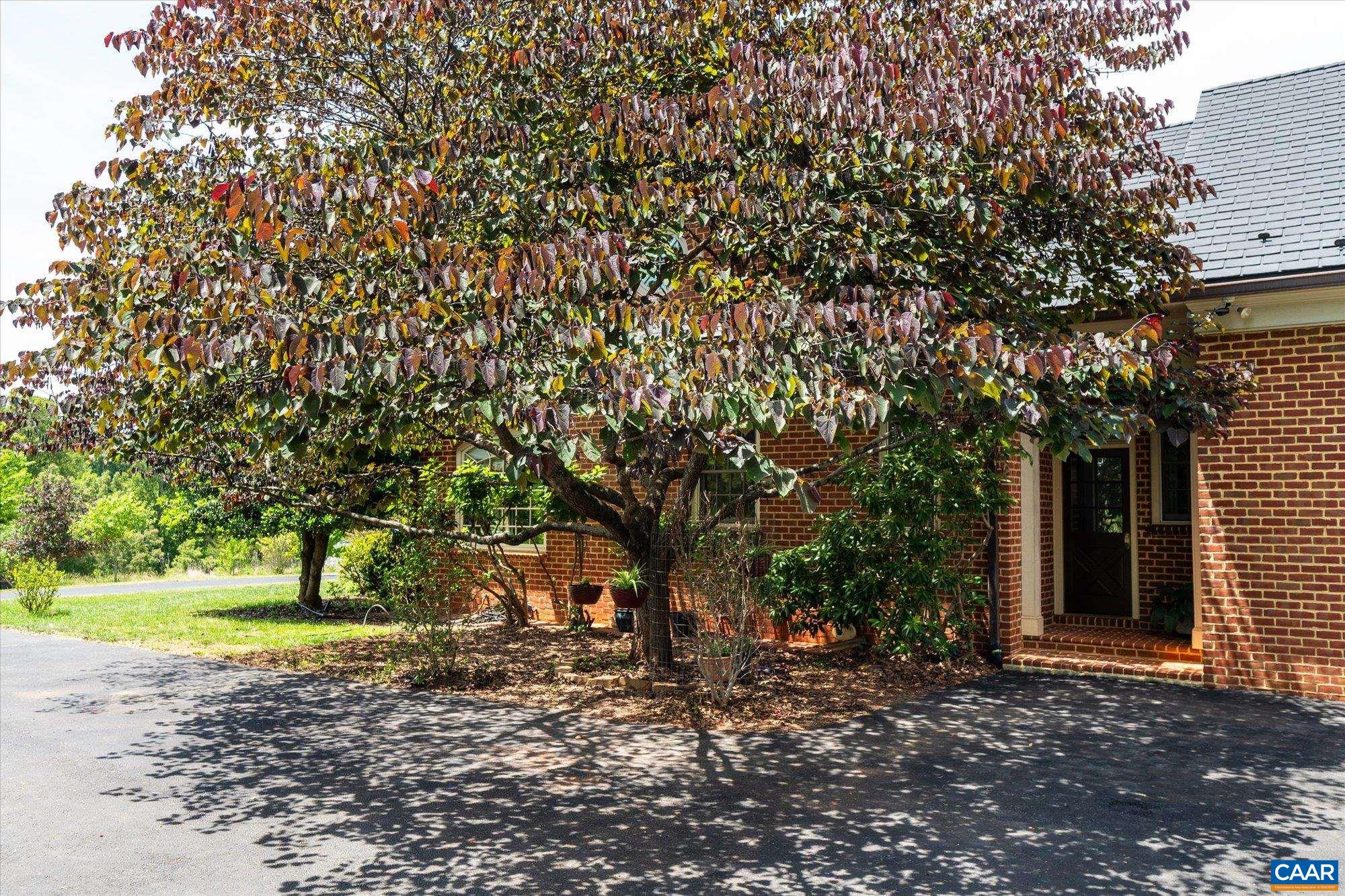 1955 OLD BALLARD FARM LN, CHARLOTTESVILLE, Virginia 22901, 5 Bedrooms Bedrooms, ,5 BathroomsBathrooms,Residential,1955 OLD BALLARD FARM LN,678129 MLS # 678129 1955 OLD BALLARD FARM LN, CHARLOTTESVILLE, Virginia 22901, 5 Bedrooms Bedrooms, ,5 BathroomsBathrooms,Residential,1955 OLD BALLARD FARM LN,678129 MLS # 678129
