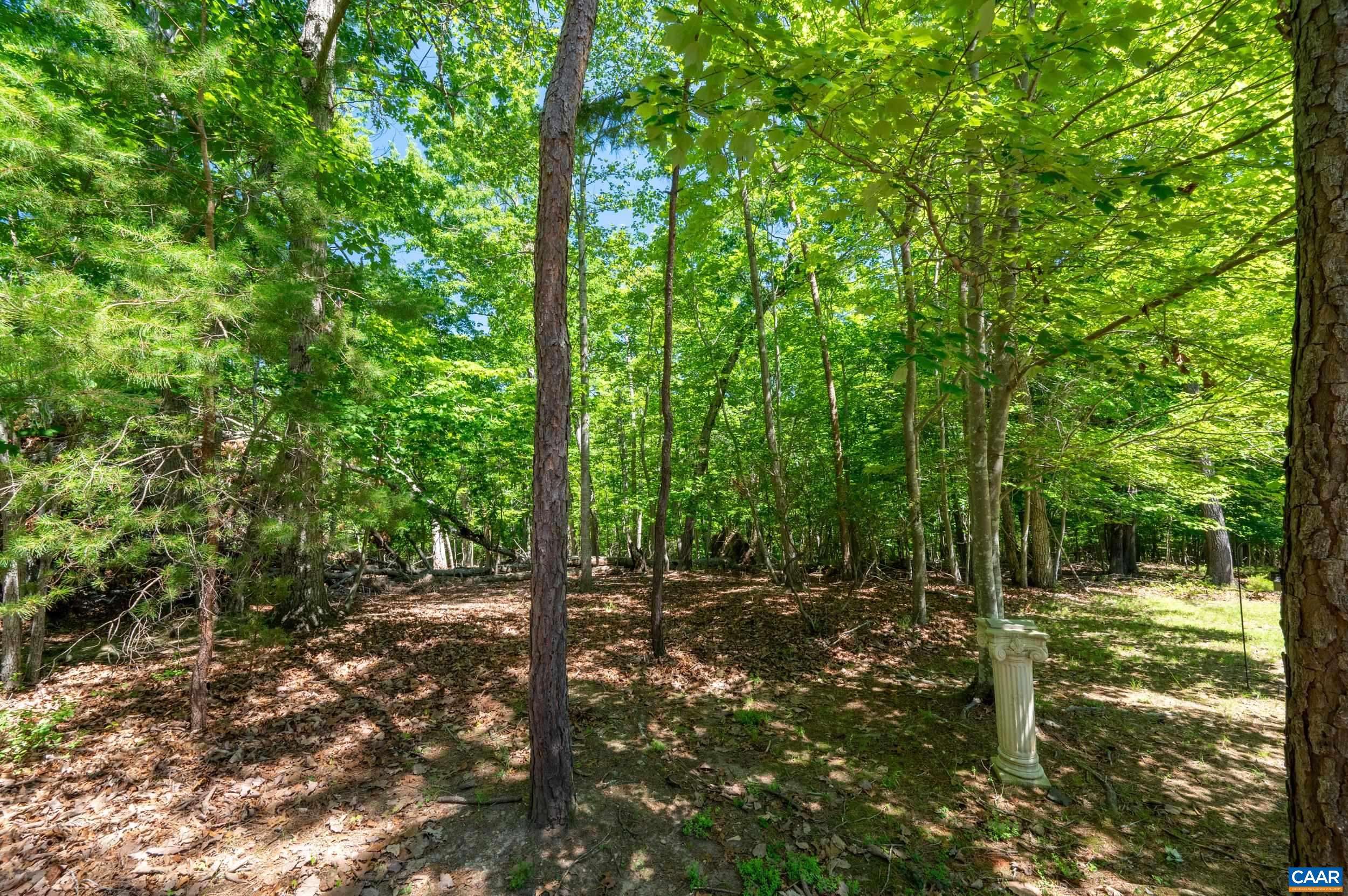 16 CLIFTWOOD RD, PALMYRA, Virginia 22963, 3 Bedrooms Bedrooms, ,2 BathroomsBathrooms,Residential,16 CLIFTWOOD RD,678258 MLS # 678258 16 CLIFTWOOD RD, PALMYRA, Virginia 22963, 3 Bedrooms Bedrooms, ,2 BathroomsBathrooms,Residential,16 CLIFTWOOD RD,678258 MLS # 678258