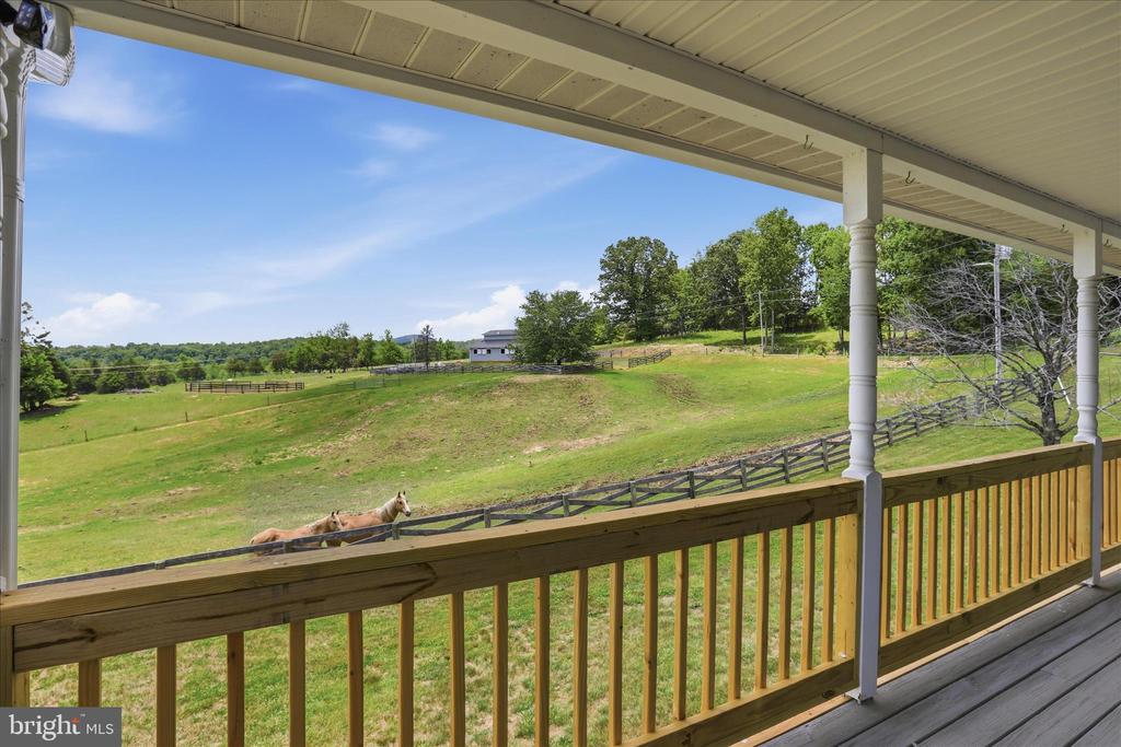 59 HARRY SETTLE RD, CASTLETON, Virginia 22716, 4 Bedrooms Bedrooms, ,2 BathroomsBathrooms,Residential,59 HARRY SETTLE RD,VARP2002682 MLS # VARP2002682 59 HARRY SETTLE RD, CASTLETON, Virginia 22716, 4 Bedrooms Bedrooms, ,2 BathroomsBathrooms,Residential,59 HARRY SETTLE RD,VARP2002682 MLS # VARP2002682