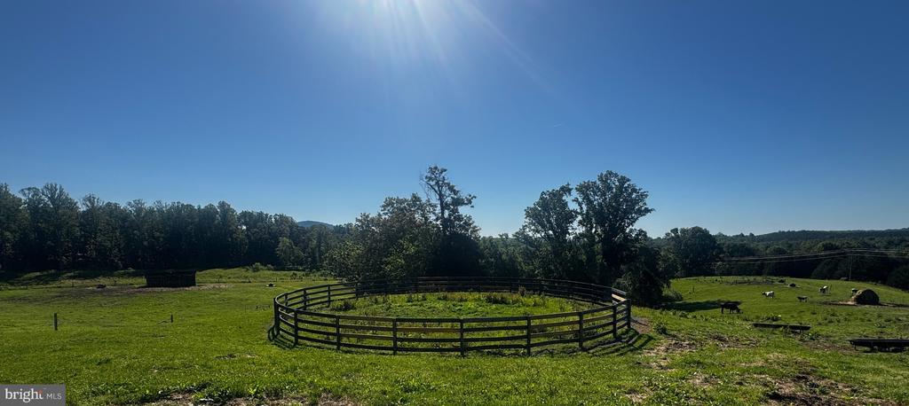 59 HARRY SETTLE RD, CASTLETON, Virginia 22716, 4 Bedrooms Bedrooms, ,2 BathroomsBathrooms,Residential,59 HARRY SETTLE RD,VARP2002682 MLS # VARP2002682 59 HARRY SETTLE RD, CASTLETON, Virginia 22716, 4 Bedrooms Bedrooms, ,2 BathroomsBathrooms,Residential,59 HARRY SETTLE RD,VARP2002682 MLS # VARP2002682