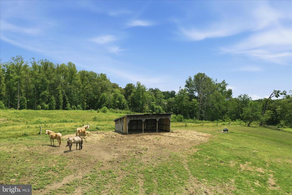59 HARRY SETTLE RD, CASTLETON, Virginia 22716, 4 Bedrooms Bedrooms, ,2 BathroomsBathrooms,Residential,59 HARRY SETTLE RD,VARP2002682 MLS # VARP2002682 59 HARRY SETTLE RD, CASTLETON, Virginia 22716, 4 Bedrooms Bedrooms, ,2 BathroomsBathrooms,Residential,59 HARRY SETTLE RD,VARP2002682 MLS # VARP2002682
