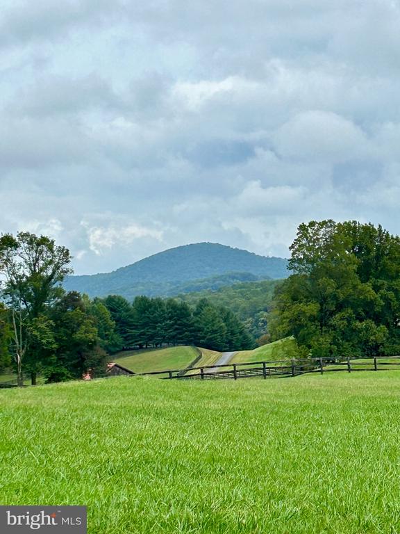 5095 LEEDS MANOR RD, HUME, Virginia 22639, 2 Bedrooms Bedrooms, ,1 BathroomBathrooms,Residential,5095 LEEDS MANOR RD,VAFQ2022432 MLS # VAFQ2022432 5095 LEEDS MANOR RD, HUME, Virginia 22639, 2 Bedrooms Bedrooms, ,1 BathroomBathrooms,Residential,5095 LEEDS MANOR RD,VAFQ2022432 MLS # VAFQ2022432