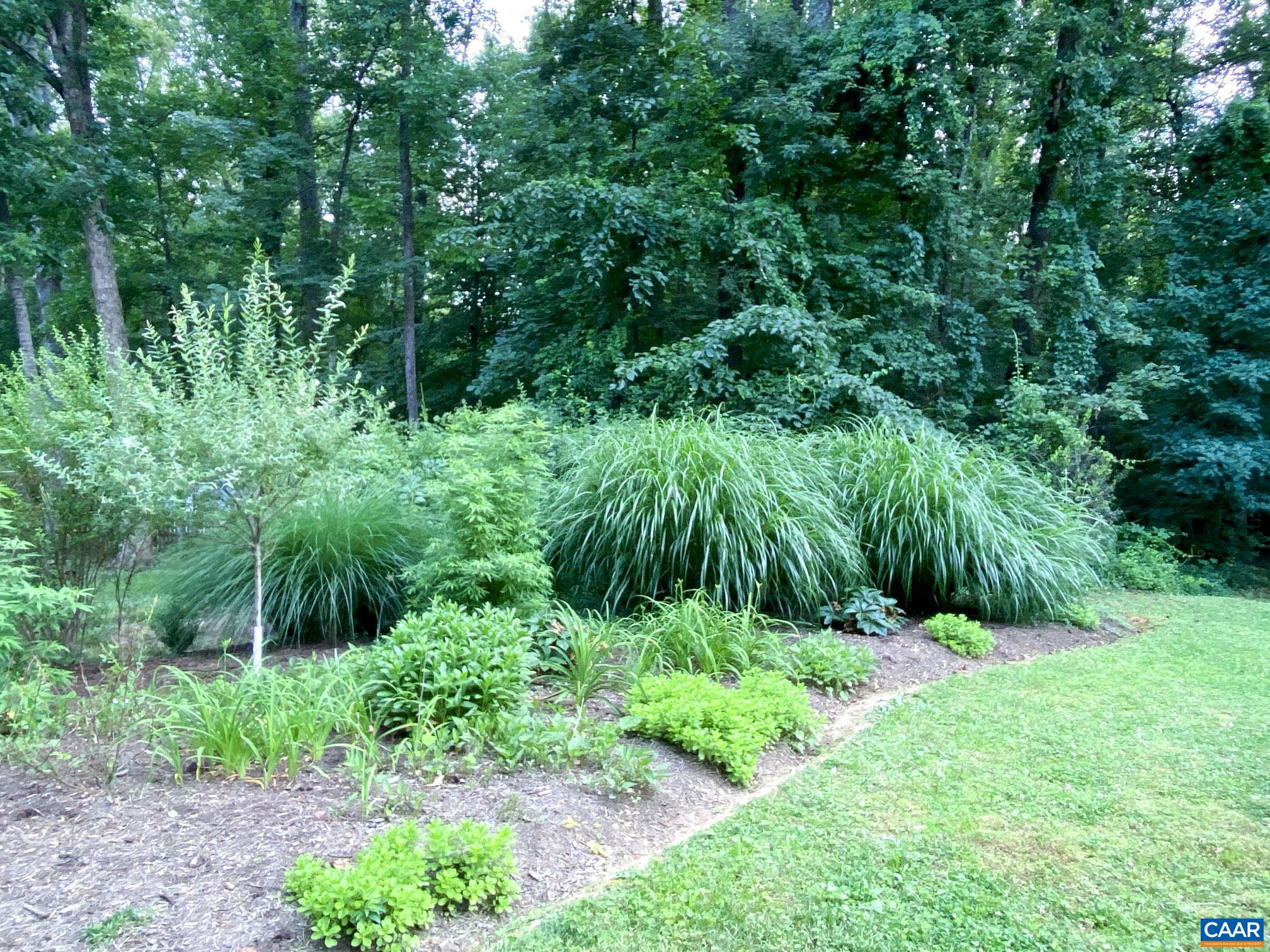 2629 WARWICK PL, EARLYSVILLE, Virginia 22936, 4 Bedrooms Bedrooms, ,2 BathroomsBathrooms,Residential,Country Garden Retreat 10 Mins to popular hot spot,2629 WARWICK PL,678268 MLS # 678268 2629 WARWICK PL, EARLYSVILLE, Virginia 22936, 4 Bedrooms Bedrooms, ,2 BathroomsBathrooms,Residential,Country Garden Retreat 10 Mins to popular hot spot,2629 WARWICK PL,678268 MLS # 678268