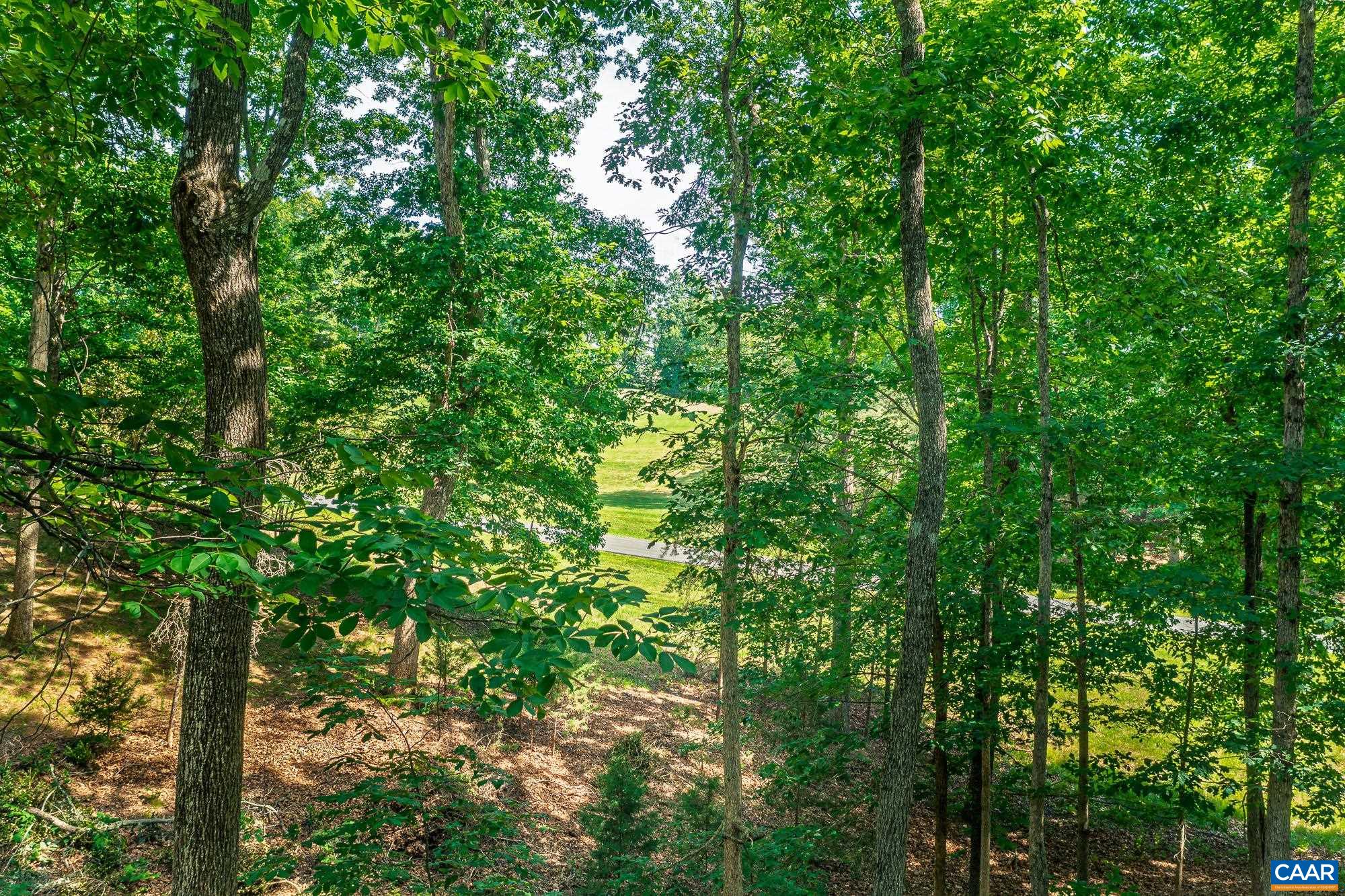 3225 PRESTWICK PL, KESWICK, Virginia 22947, 4 Bedrooms Bedrooms, ,3 BathroomsBathrooms,Residential,3225 PRESTWICK PL,678280 MLS # 678280