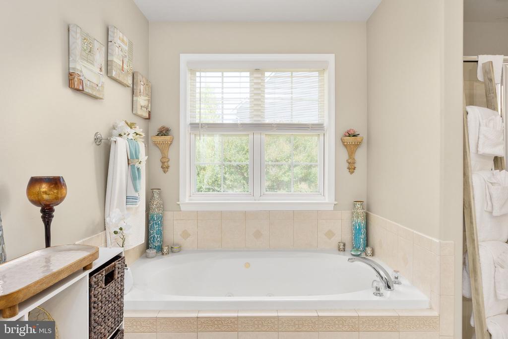 581 WINDERMERE DR, CULPEPER, Virginia 22701, 5 Bedrooms Bedrooms, ,4 BathroomsBathrooms,Residential,581 WINDERMERE DR,VACU2013458 MLS # VACU2013458 581 WINDERMERE DR, CULPEPER, Virginia 22701, 5 Bedrooms Bedrooms, ,4 BathroomsBathrooms,Residential,581 WINDERMERE DR,VACU2013458 MLS # VACU2013458