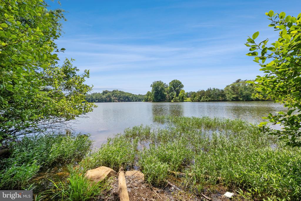581 WINDERMERE DR, CULPEPER, Virginia 22701, 5 Bedrooms Bedrooms, ,4 BathroomsBathrooms,Residential,581 WINDERMERE DR,VACU2013458 MLS # VACU2013458 581 WINDERMERE DR, CULPEPER, Virginia 22701, 5 Bedrooms Bedrooms, ,4 BathroomsBathrooms,Residential,581 WINDERMERE DR,VACU2013458 MLS # VACU2013458