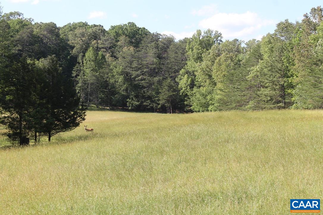 4345 BURNLEY STATION RD, BARBOURSVILLE, Virginia 22923, 3 Bedrooms Bedrooms, ,2 BathroomsBathrooms,Residential,Oakfield,4345 BURNLEY STATION RD,678249 MLS # 678249 4345 BURNLEY STATION RD, BARBOURSVILLE, Virginia 22923, 3 Bedrooms Bedrooms, ,2 BathroomsBathrooms,Residential,Oakfield,4345 BURNLEY STATION RD,678249 MLS # 678249