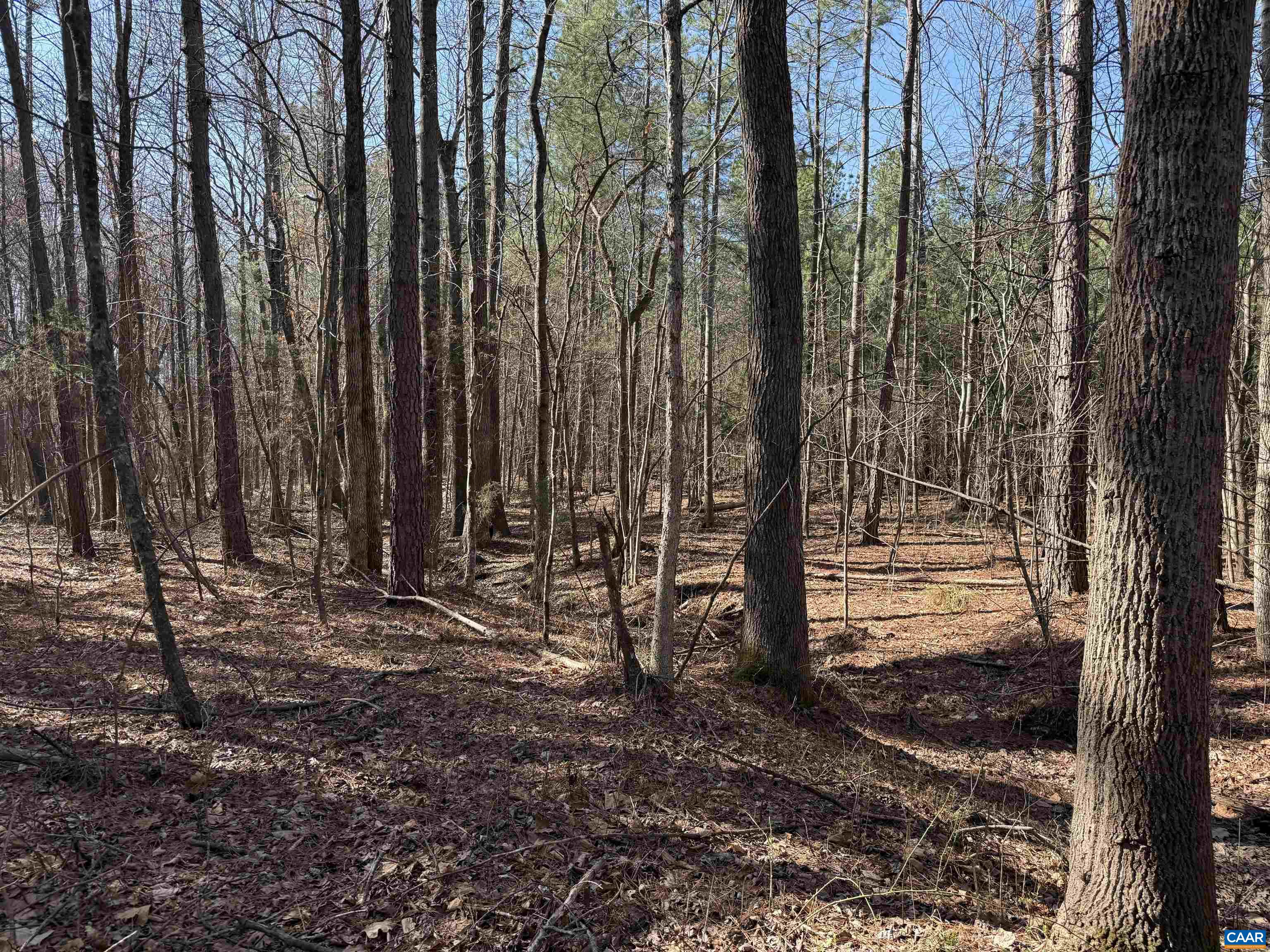 1 MAPLE BRIDGE RD, DILLWYN, Virginia 23936, ,Land,1 MAPLE BRIDGE RD,678335 MLS # 678335