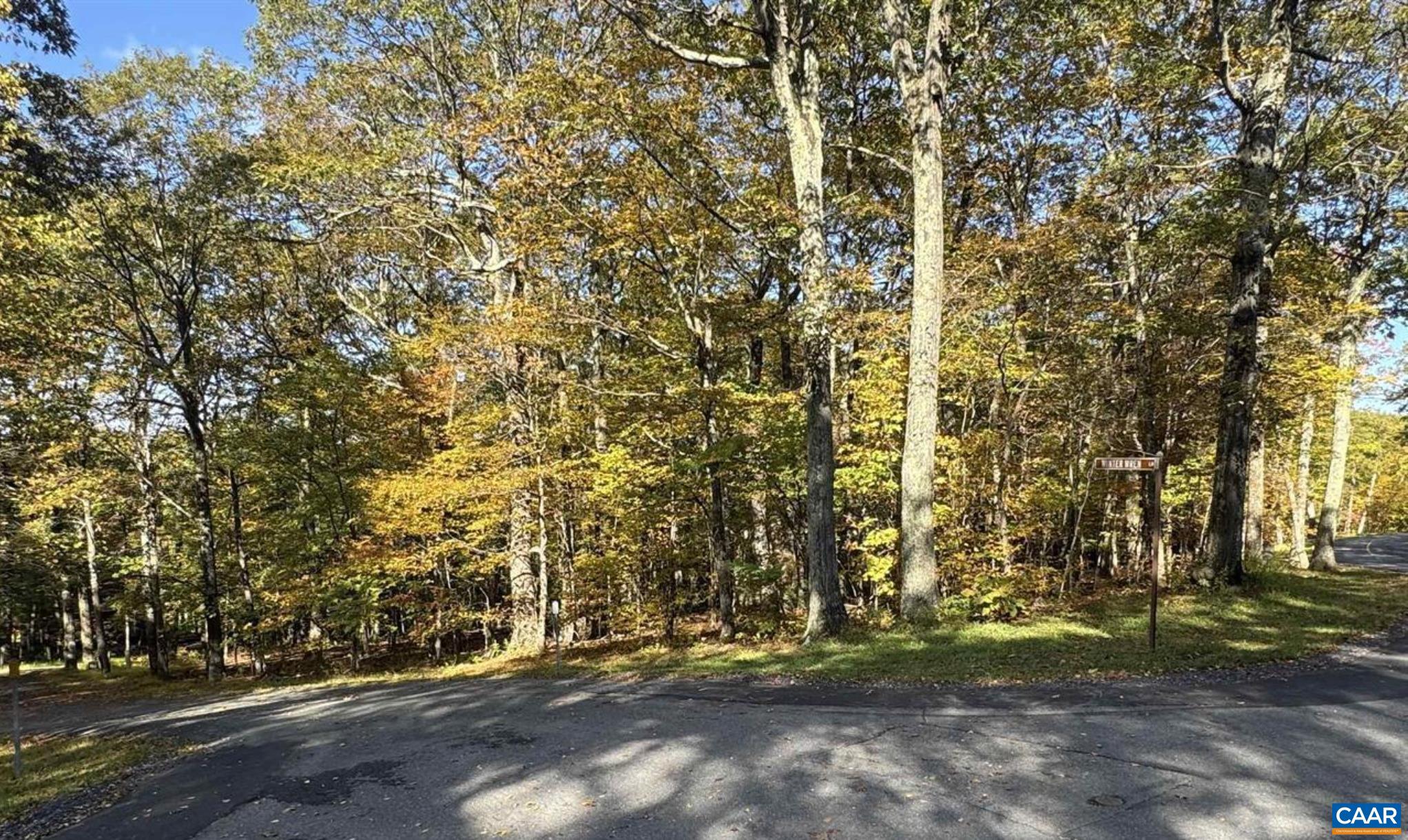 TBD WINTER WREN LN, WINTERGREEN RESORT, Virginia 22967, ,Land,TBD WINTER WREN LN,678336 MLS # 678336