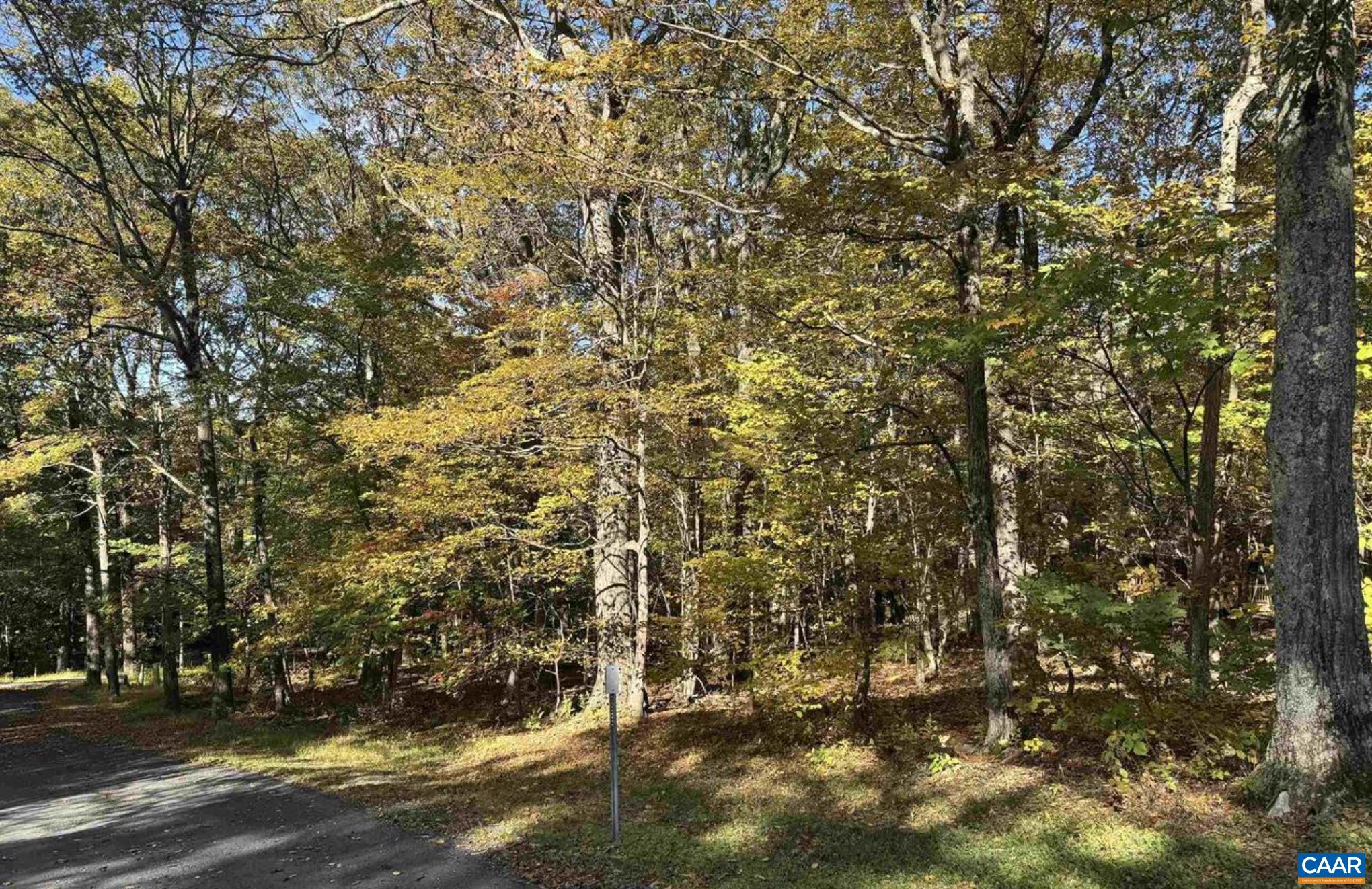 TBD WINTER WREN LN, WINTERGREEN RESORT, Virginia 22967, ,Land,TBD WINTER WREN LN,678336 MLS # 678336