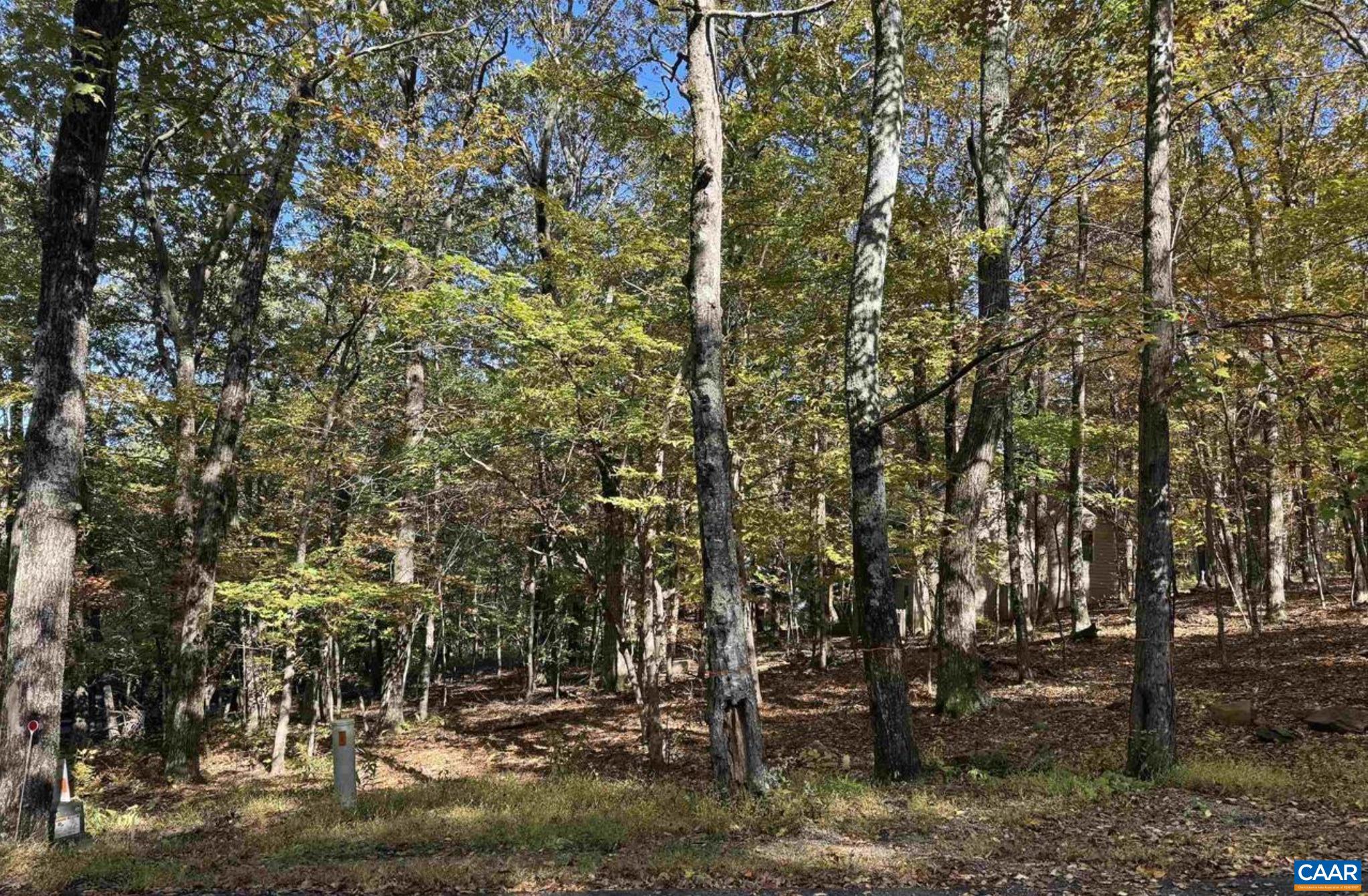 TBD WINTER WREN LN, WINTERGREEN RESORT, Virginia 22967, ,Land,TBD WINTER WREN LN,678336 MLS # 678336