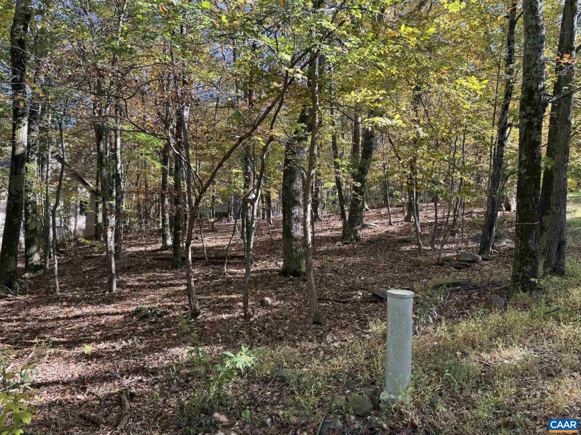 TBD WINTER WREN LN, WINTERGREEN RESORT, Virginia 22967, ,Land,TBD WINTER WREN LN,678336 MLS # 678336