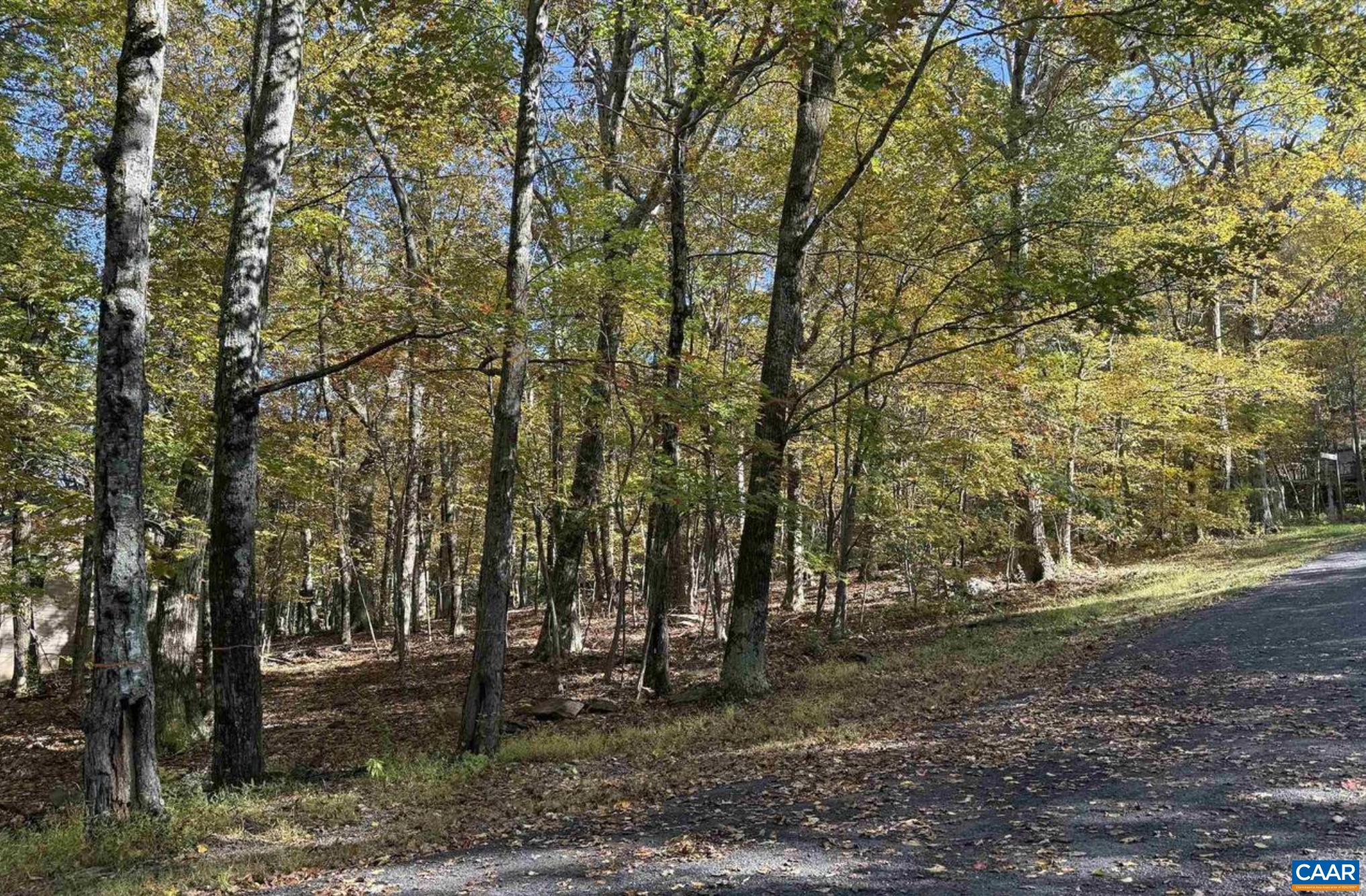 TBD WINTER WREN LN, WINTERGREEN RESORT, Virginia 22967, ,Land,TBD WINTER WREN LN,678336 MLS # 678336
