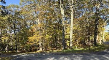 TBD WINTER WREN LN, WINTERGREEN RESORT, Virginia 22967, ,Land,TBD WINTER WREN LN,678336 MLS # 678336