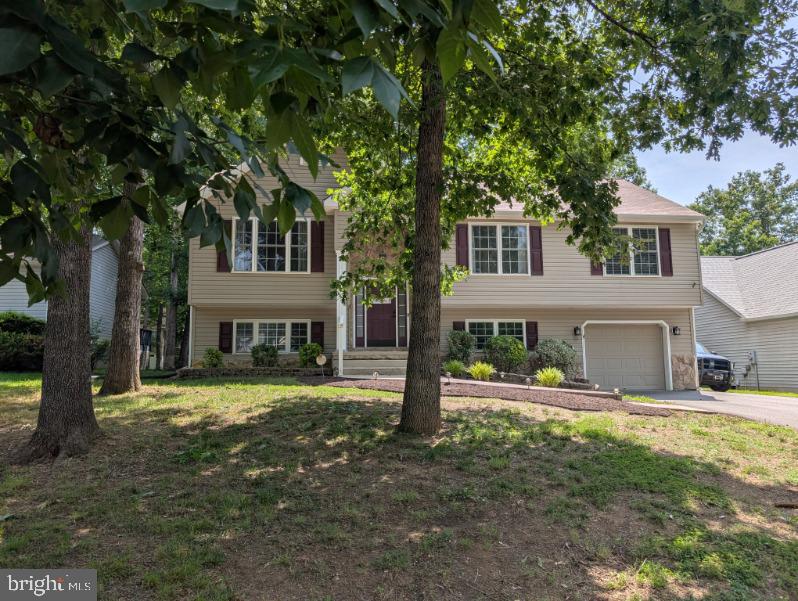 305 BIRDIE RD, LOCUST GROVE, Virginia 22508, 4 Bedrooms Bedrooms, ,3 BathroomsBathrooms,Residential,305 BIRDIE RD,VAOR2013924 MLS # VAOR2013924 305 BIRDIE RD, LOCUST GROVE, Virginia 22508, 4 Bedrooms Bedrooms, ,3 BathroomsBathrooms,Residential,305 BIRDIE RD,VAOR2013924 MLS # VAOR2013924
