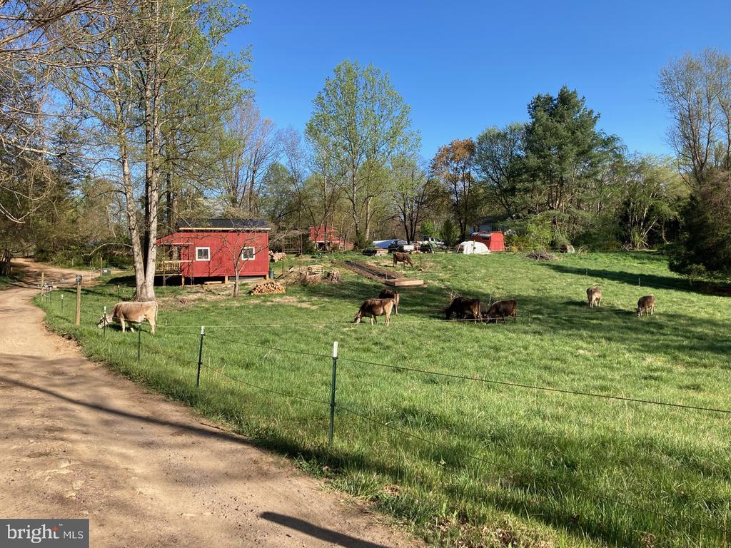 3085 INDIAN RUN RD, AMISSVILLE, Virginia 20106, 3 Bedrooms Bedrooms, ,2 BathroomsBathrooms,Residential,3085 INDIAN RUN RD,VACU2013662 MLS # VACU2013662 3085 INDIAN RUN RD, AMISSVILLE, Virginia 20106, 3 Bedrooms Bedrooms, ,2 BathroomsBathrooms,Residential,3085 INDIAN RUN RD,VACU2013662 MLS # VACU2013662