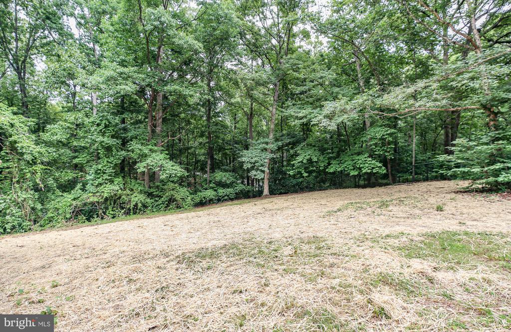 211 HARDWOOD LN, FREDERICKSBURG, Virginia 22408, 4 Bedrooms Bedrooms, ,3 BathroomsBathrooms,Residential,211 HARDWOOD LN,VASP2042850 MLS # VASP2042850 211 HARDWOOD LN, FREDERICKSBURG, Virginia 22408, 4 Bedrooms Bedrooms, ,3 BathroomsBathrooms,Residential,211 HARDWOOD LN,VASP2042850 MLS # VASP2042850