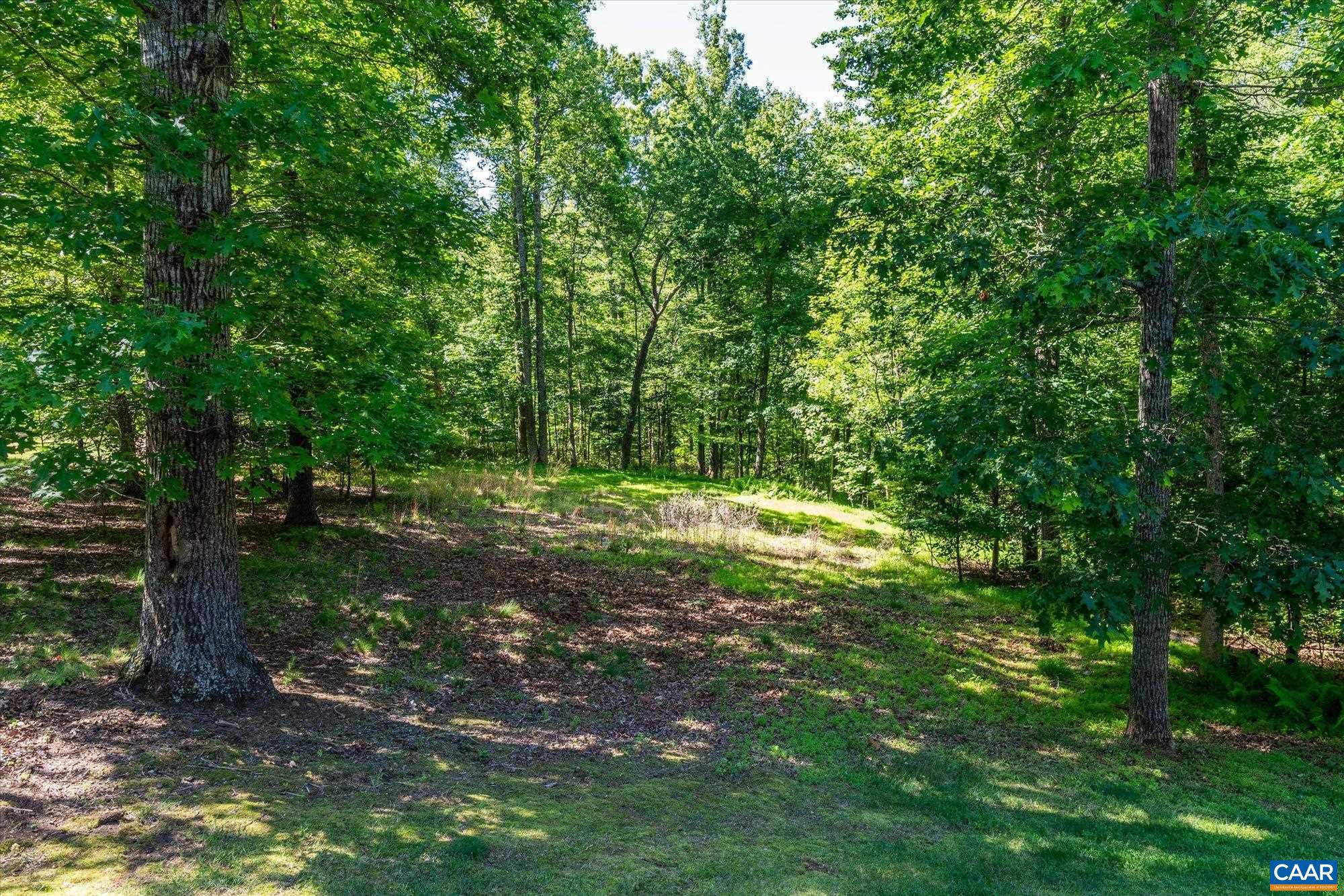 895 LANGDON WOODS DR, DYKE, Virginia 22935, 3 Bedrooms Bedrooms, ,2 BathroomsBathrooms,Residential,895 LANGDON WOODS DR,678345 MLS # 678345 895 LANGDON WOODS DR, DYKE, Virginia 22935, 3 Bedrooms Bedrooms, ,2 BathroomsBathrooms,Residential,895 LANGDON WOODS DR,678345 MLS # 678345