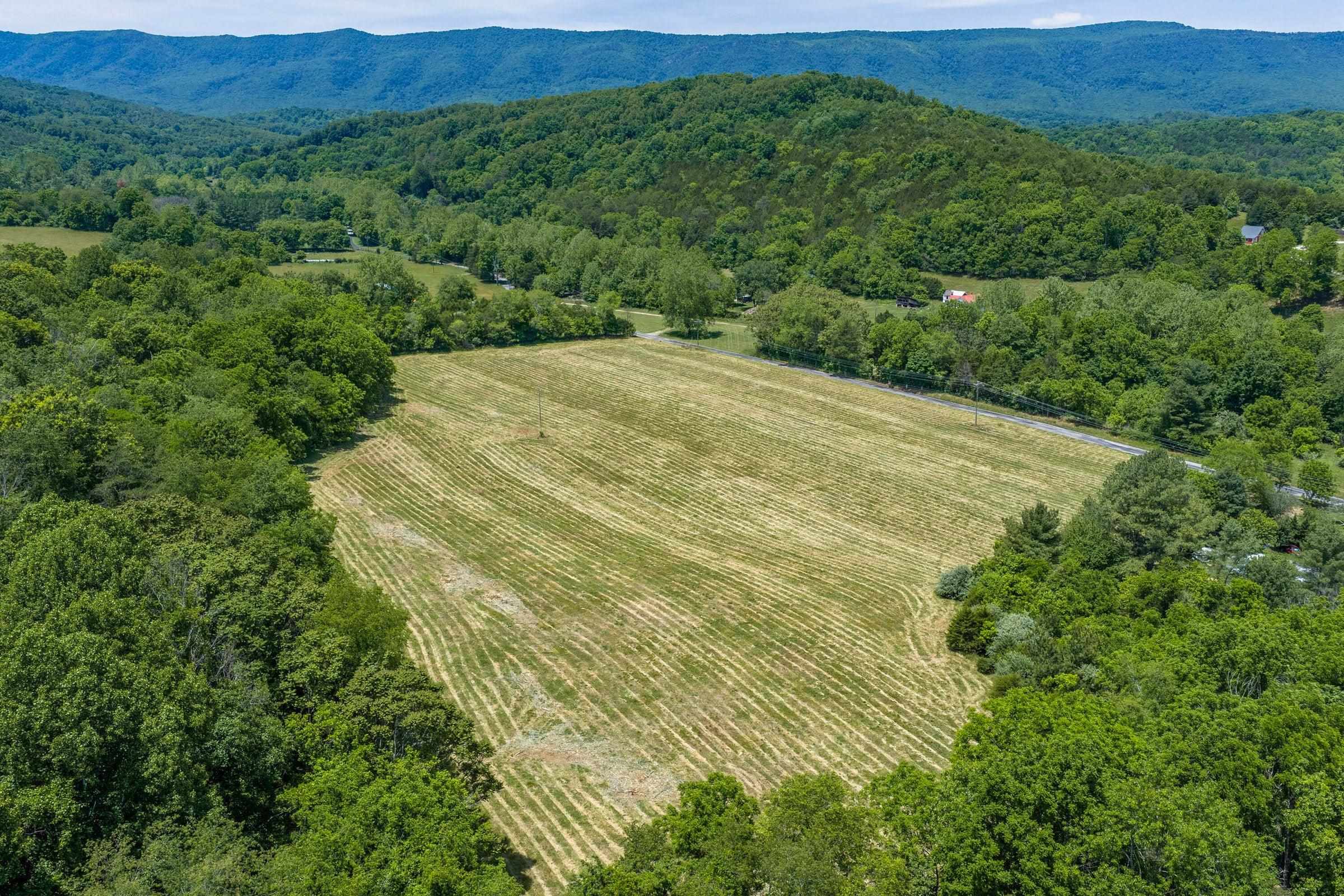 Across from Blacks Creek Across from Blacks Creek