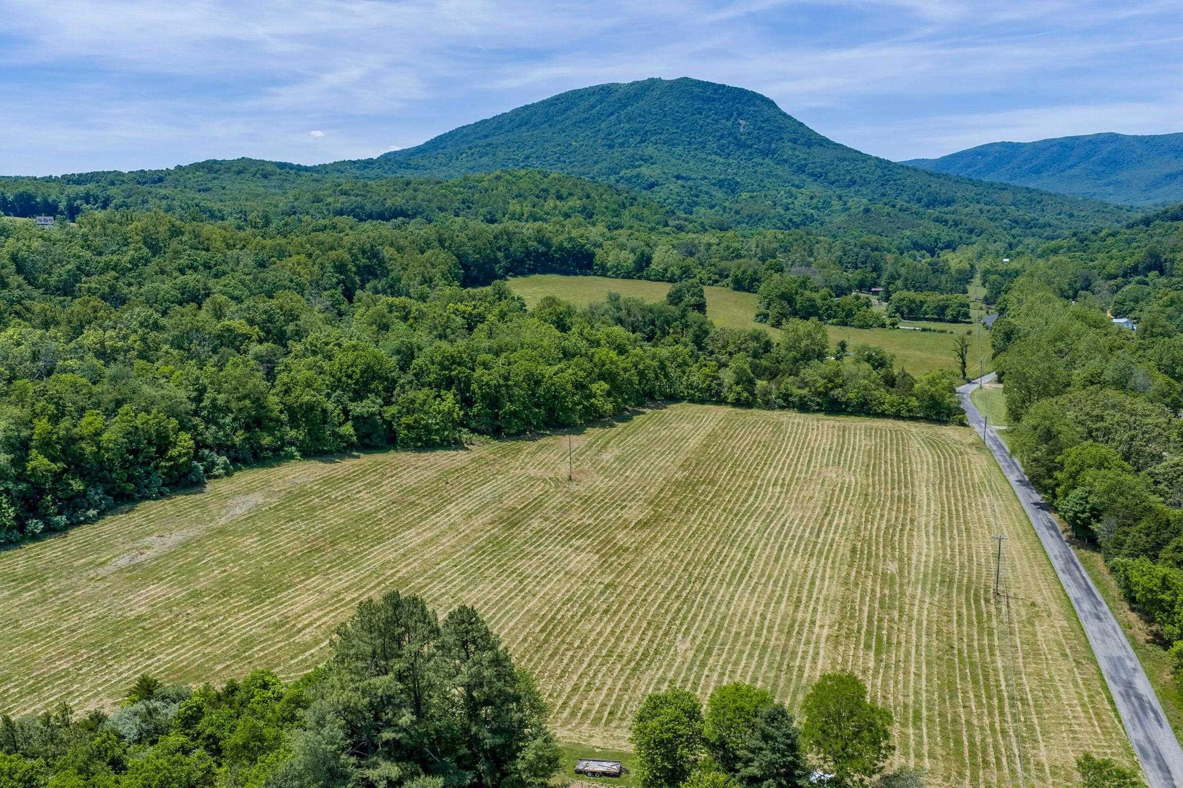 Just 2 miles from Lake Robertson and only 12 miles from historic downtown Lexington. Just 2 miles from Lake Robertson and only 12 miles from historic downtown Lexington.